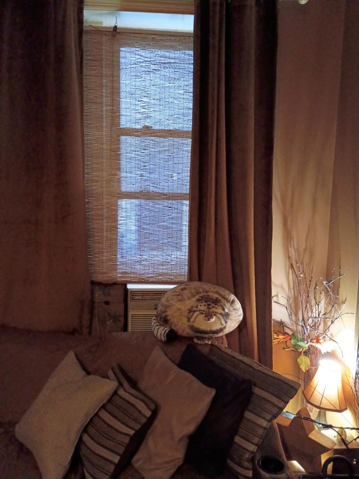 Bamboo Blinds for Interior Windows, 24