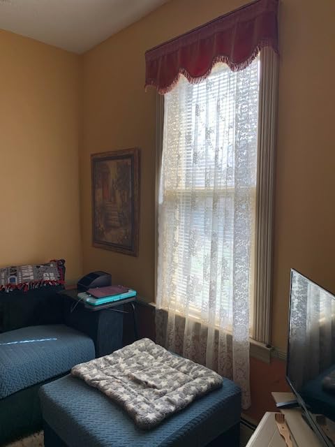 100% Blackout Cordless Bamboo Roman Shades 35x64 in Papara Carbon | Upgrade Backing Fabric, UV Protection, Protecting Privacy, room darkening customer photo 1