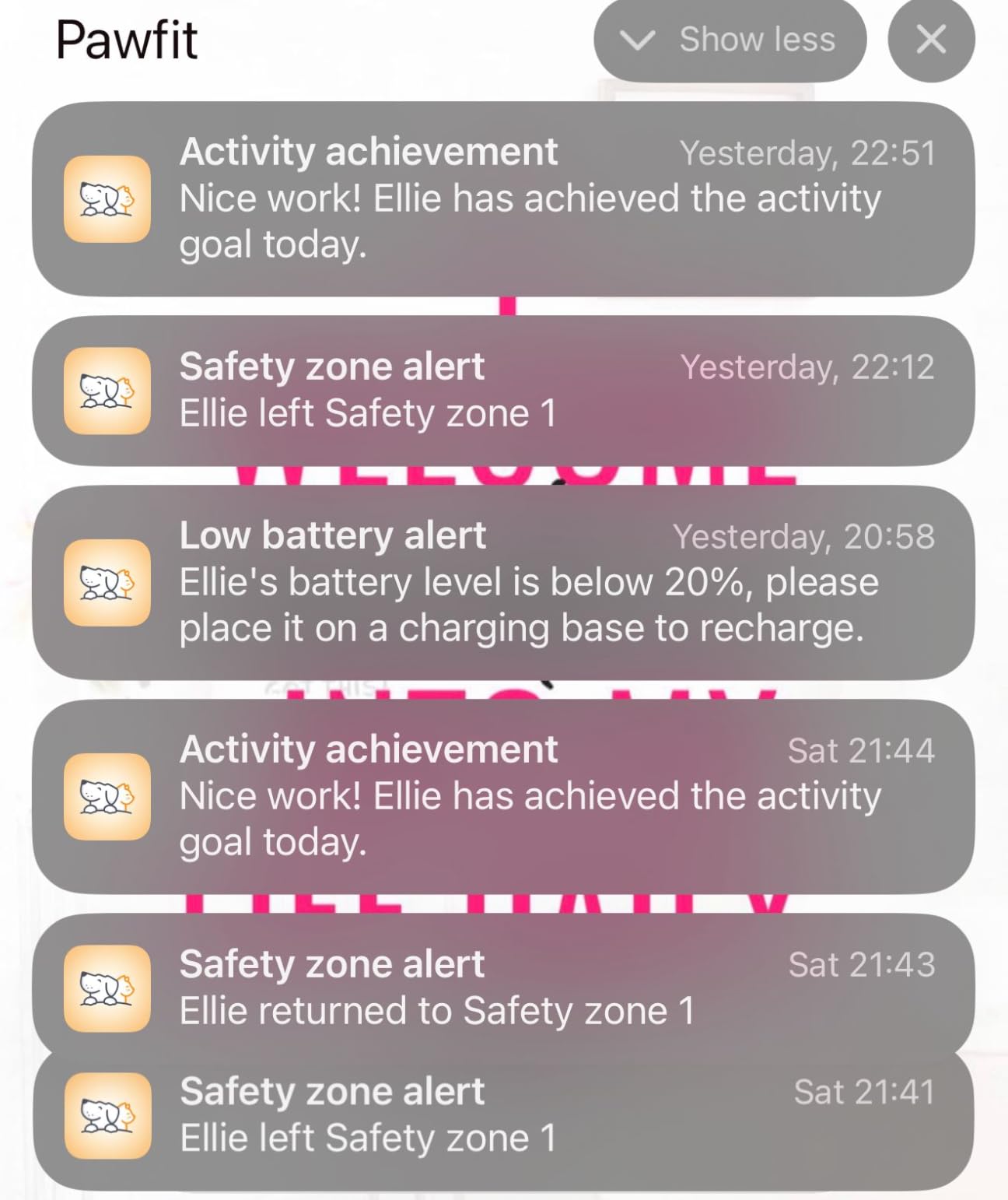 Lite 4G GPS Dog Tracker, Live Tracking, Ultra-Light, Charcoal Grey customer photo 2