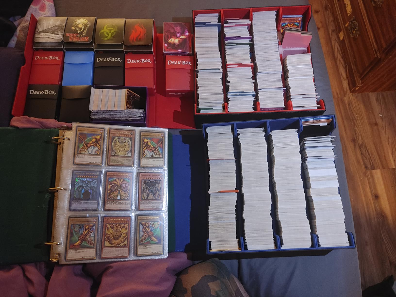4-Row 3200+ Trading Card Storage Box, Card Organizer Holder with 24 Dividers, Case Fit for MTG TCG Magic Commander Deck Playing Cards, Deck Box for Sport Card customer photo 1