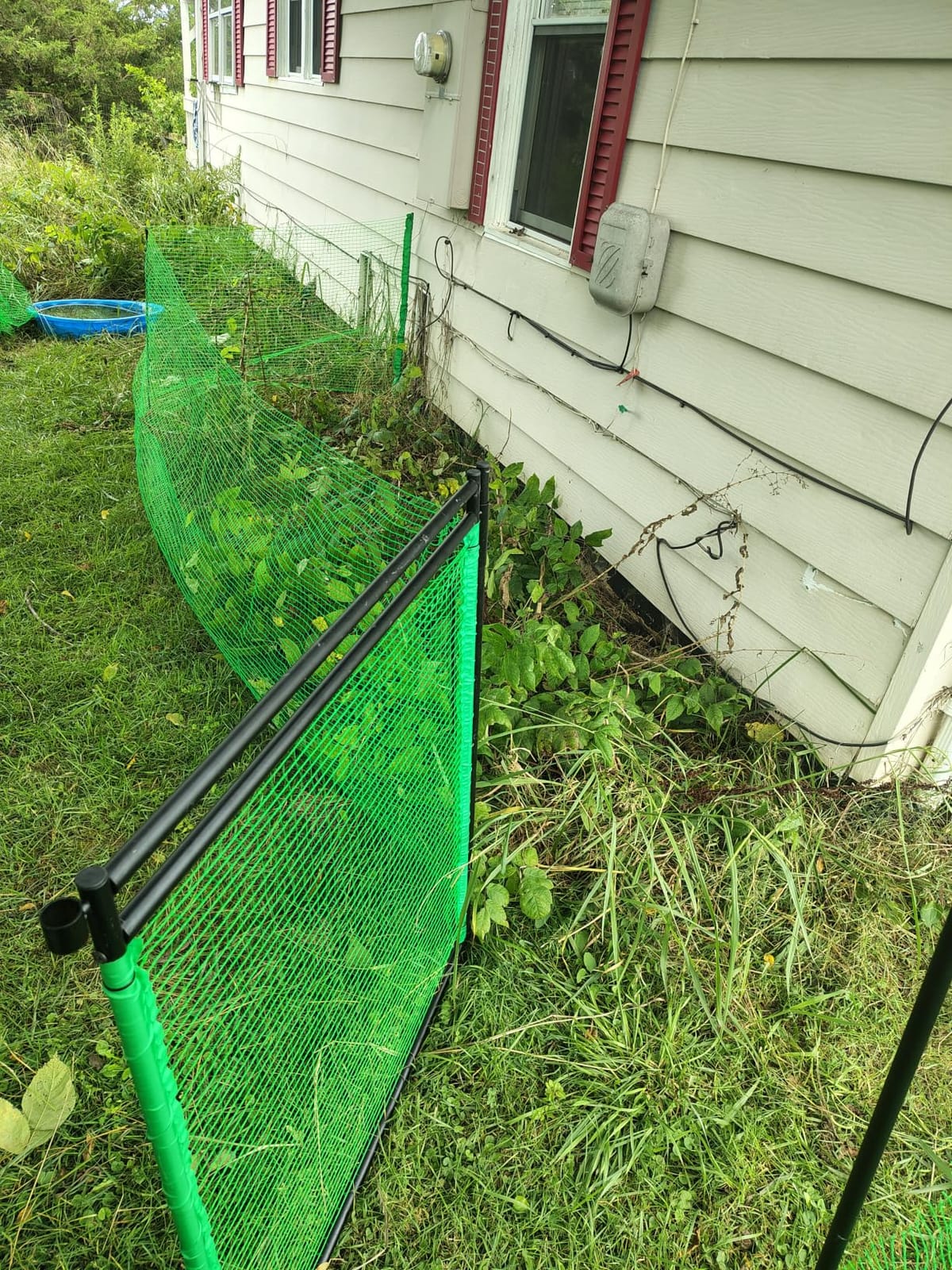Temporary Fence with Step in Stakes, 3'x50' Safety Barrier for Dog Snow Plastic Mesh Fencing with Fiberglass Post Windbreak Rope, Movable Fencing Roll for Garden Backyard Outdoor Animal Protect customer photo 2