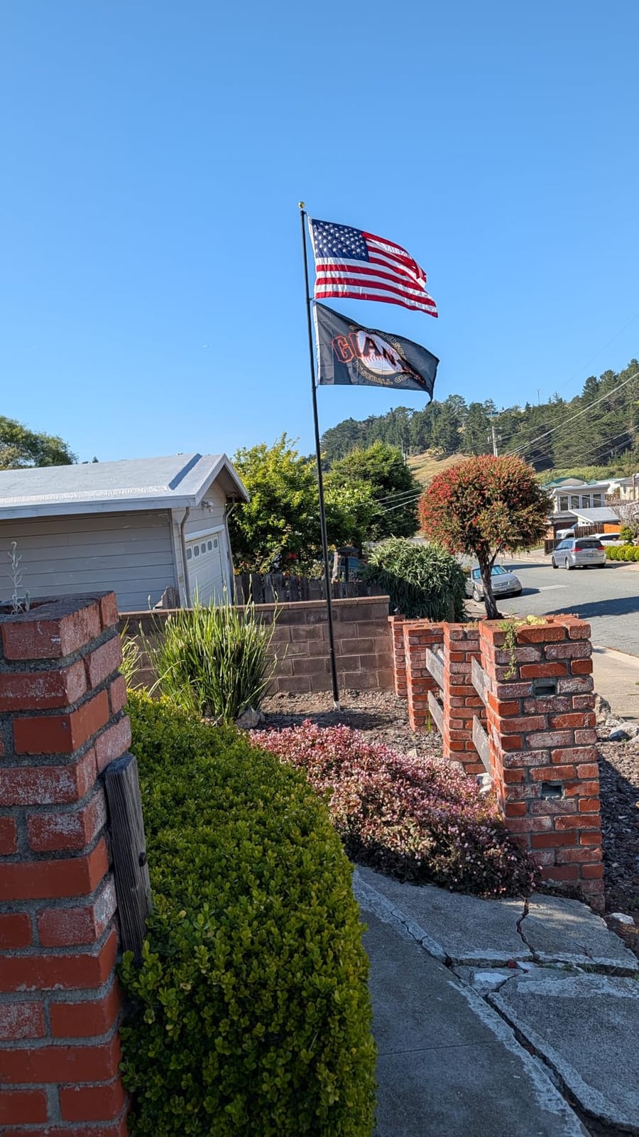 20FT Telescoping Flag Pole for Outside House, Extra Thick with US Flag | Smooth Telescopic, Tangle-Free Dual Flag Design, In Ground Outdoor, Residential & Commercial, Complete Hardware, Easy Install customer photo 2