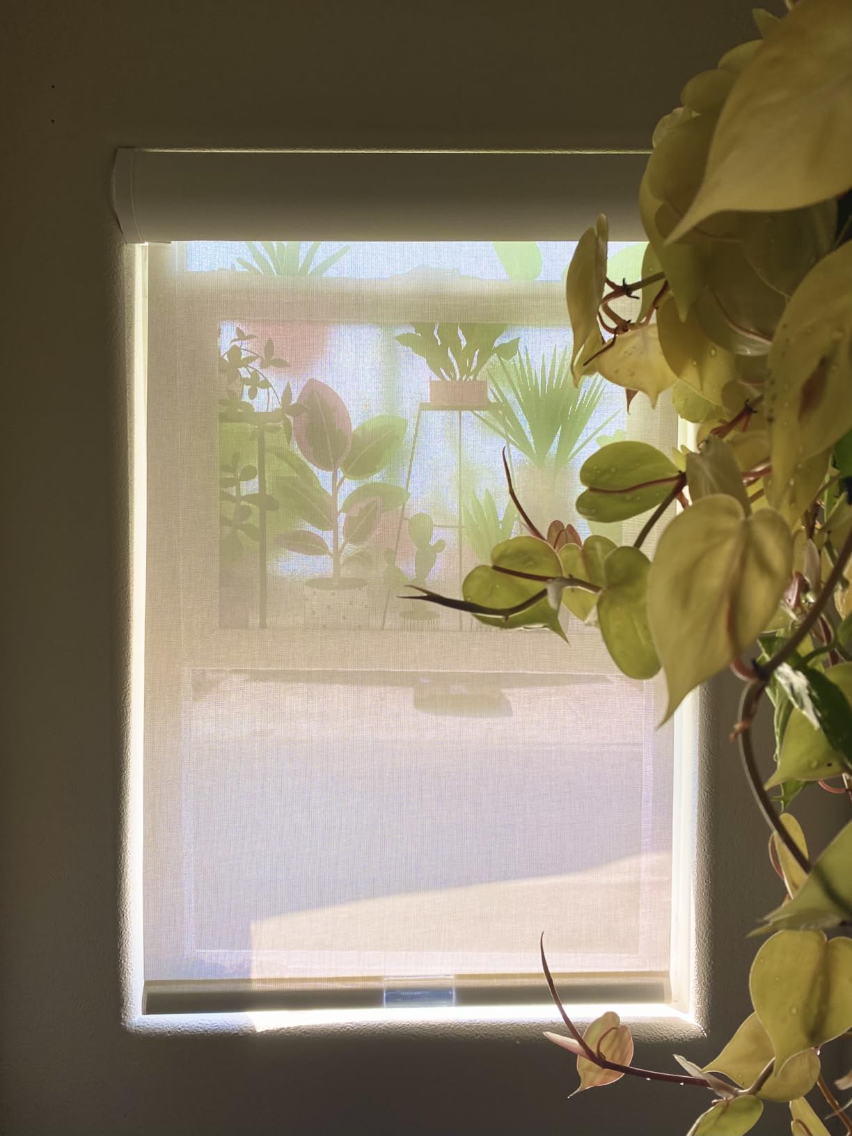Lumino Light Filtering Solar Shades, 23