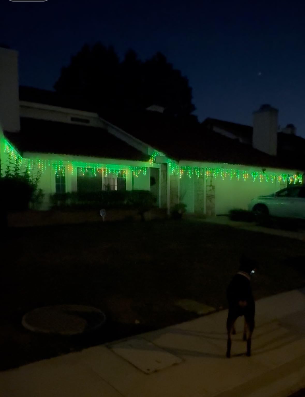Govee Icicle Lights, Smart RGBIC Christmas Lights for Outside | 33ft with 400 LEDs Icicle Light Outdoor, IP67 Waterproof, Music Sync, Voice Control, 78+ Scene Modes for Christmas Decor customer photo 2