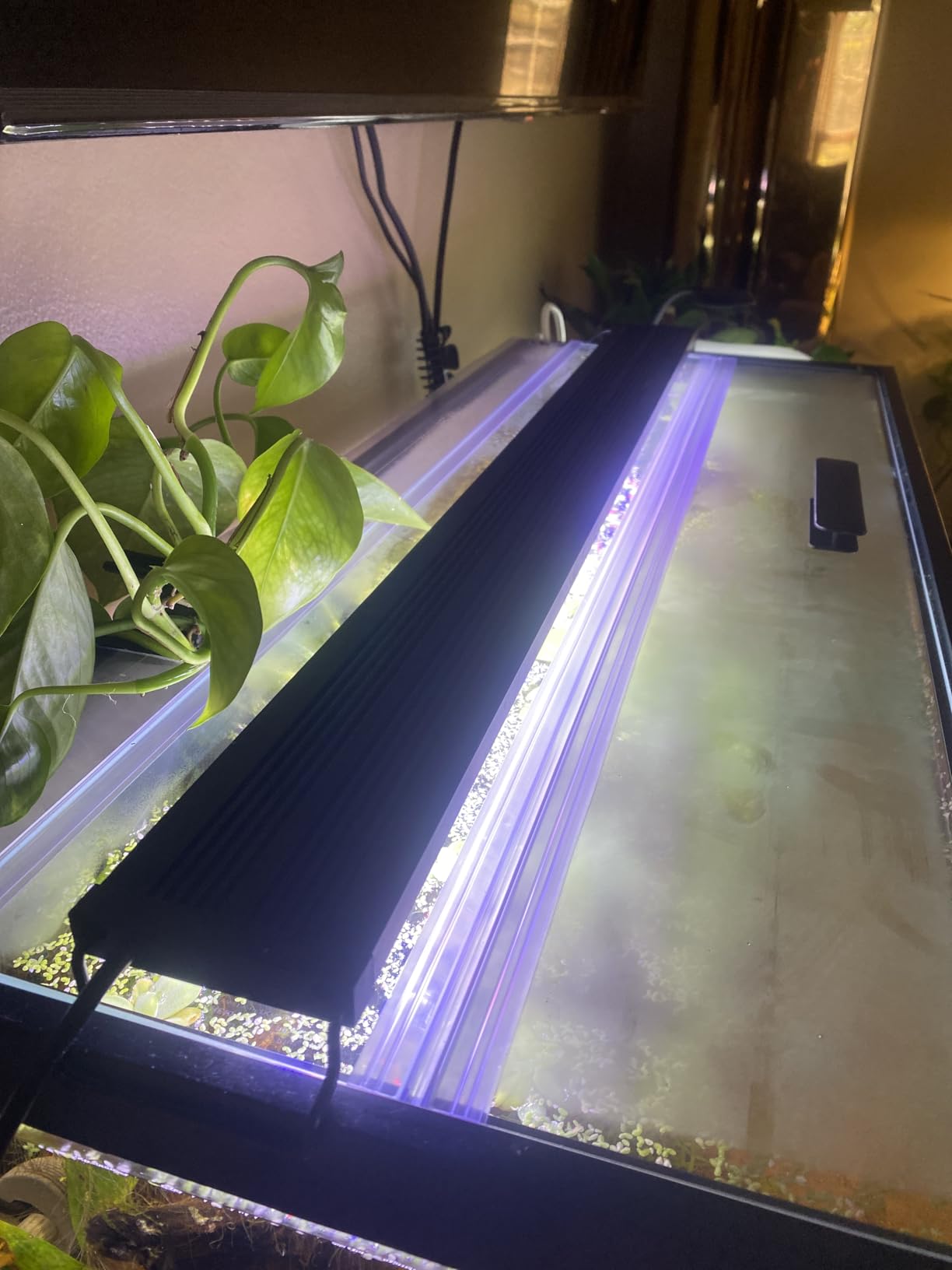 29.21x11.69 x0.16in Clear Tempered Glass Canopy | Aquarium Fish Tank Hoods FITS FOR most 20Long/29 gallon Fish tanks customer photo 1