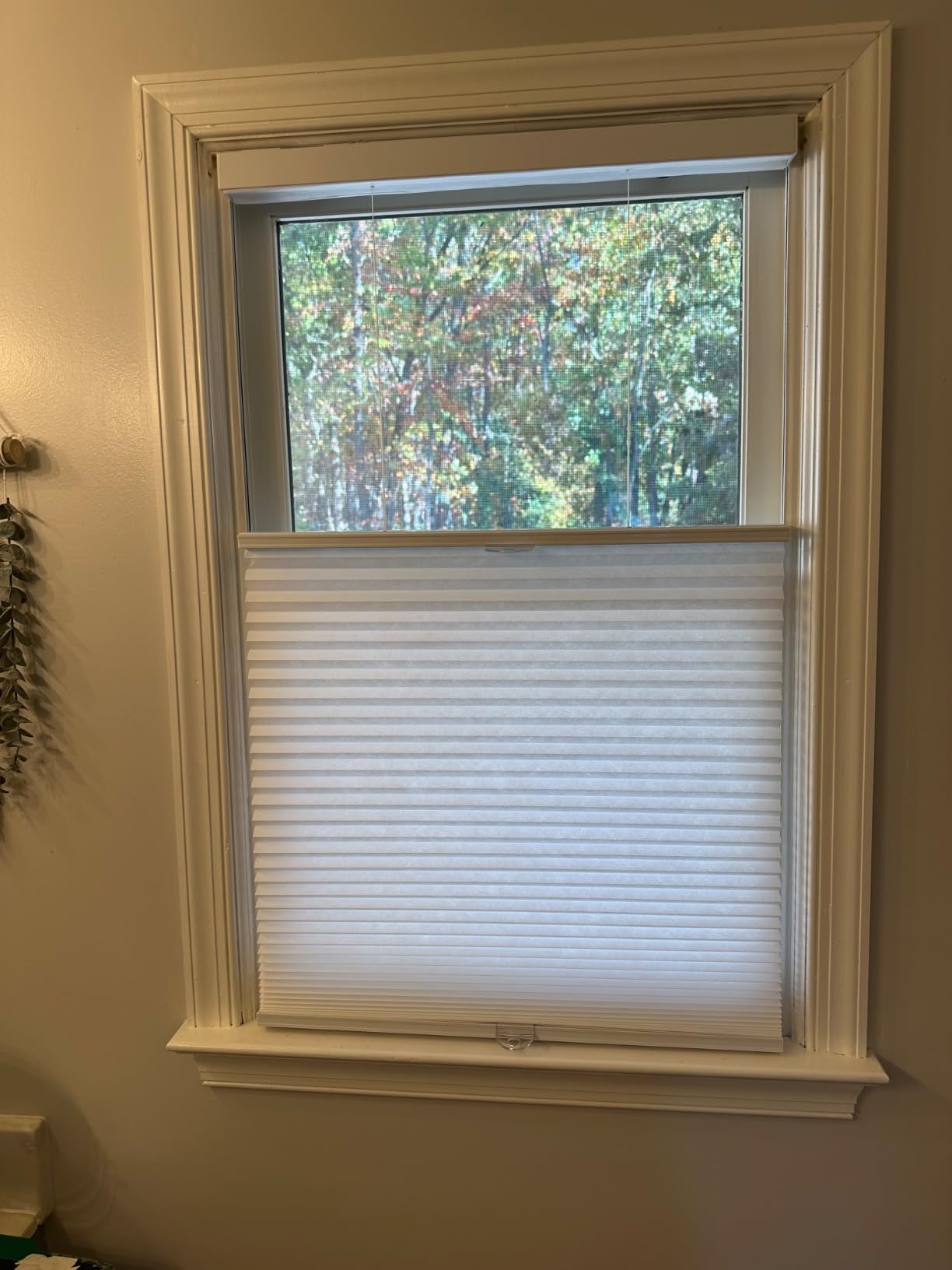 SUNFREE Top Down Bottom Up Cellular Shades 24