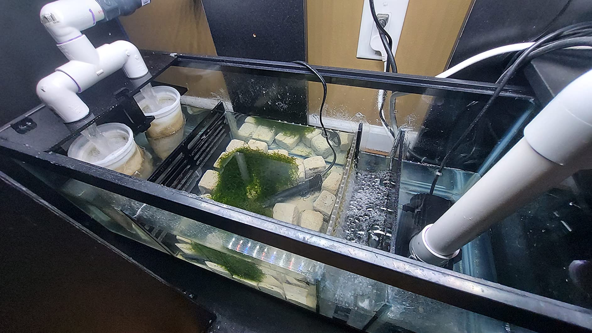 Adjustable Sump Baffle Kit - Refugium Kit for 10 Gallon Tank - Reef Aquarium - Saltwater Aquarium Filter System- Protein Skimmer Sump customer photo 1