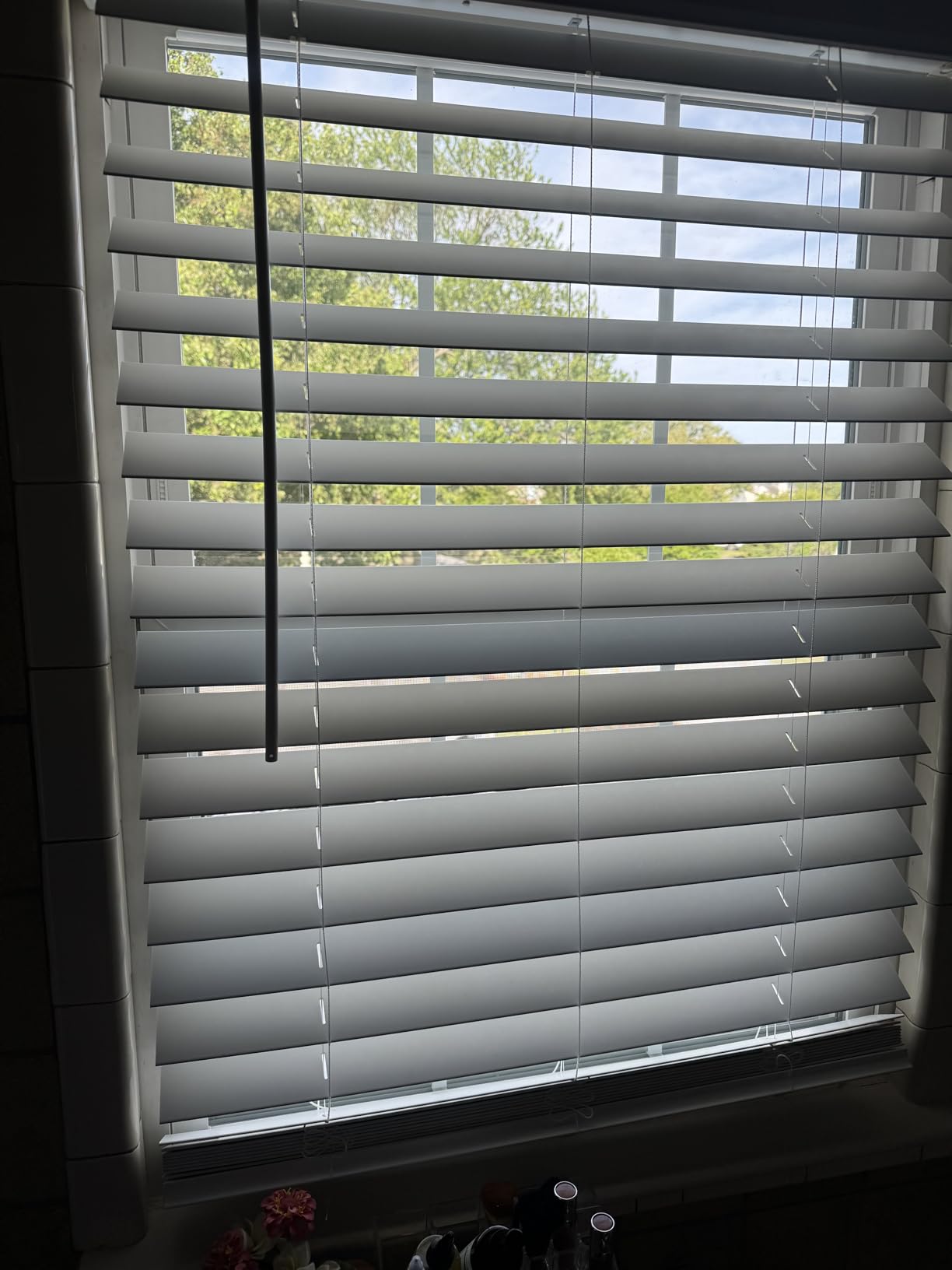 Lotus & Windoware Cordless, 2-1/2 Inch Faux Wood Blind, Window Blinds, Blinds & Shades, Blinds for Indoor Windows, Bright White, Smooth, 41