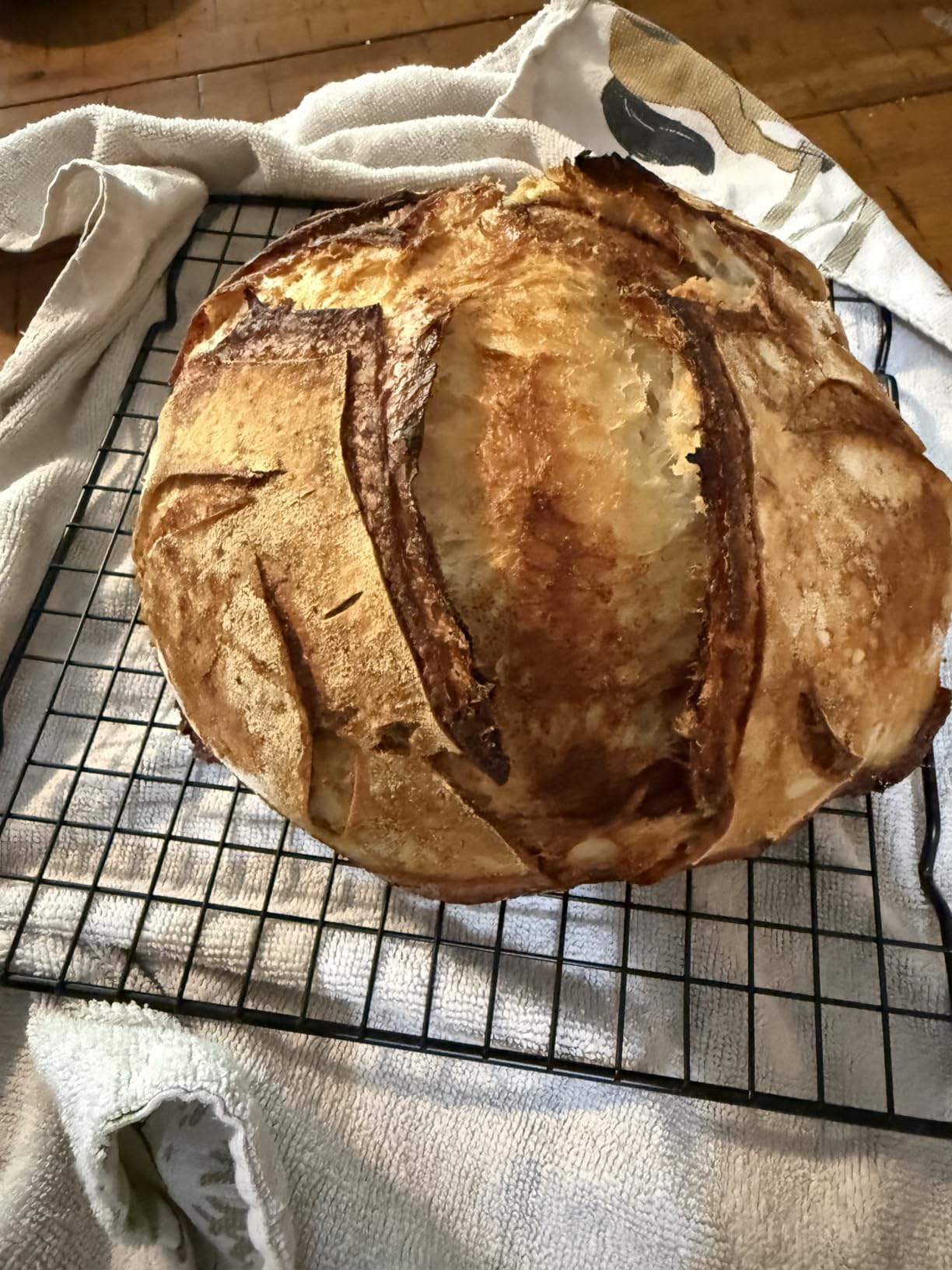 Astercook Sourdough Starter Kit with Round & Oval Banneton Bread Proofing Basket, Starter Jar, Dough Whisk, Scrapers, Stencils, Complete Sourdough Bread Baking Supplies, Fathers Day Gift for Men customer photo 1