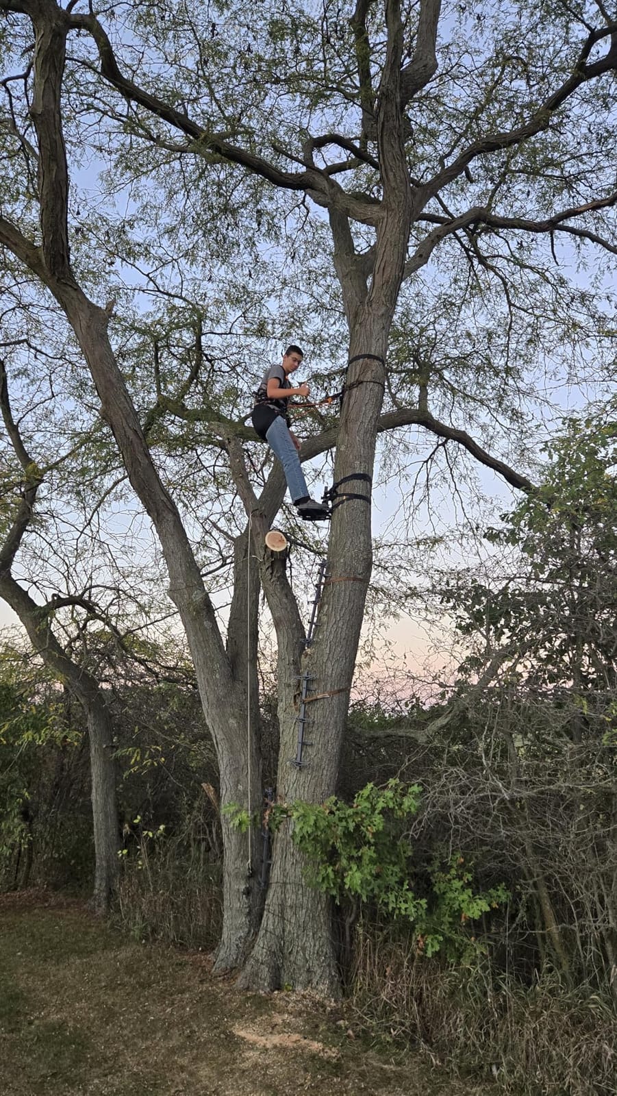 Complete Tree Saddle Hunting System, Hunting Saddle Kit with Aluminum Tree Saddle Platform, Tree Saddle Safety Harness, Tree Straps and Safety Rope customer photo 2