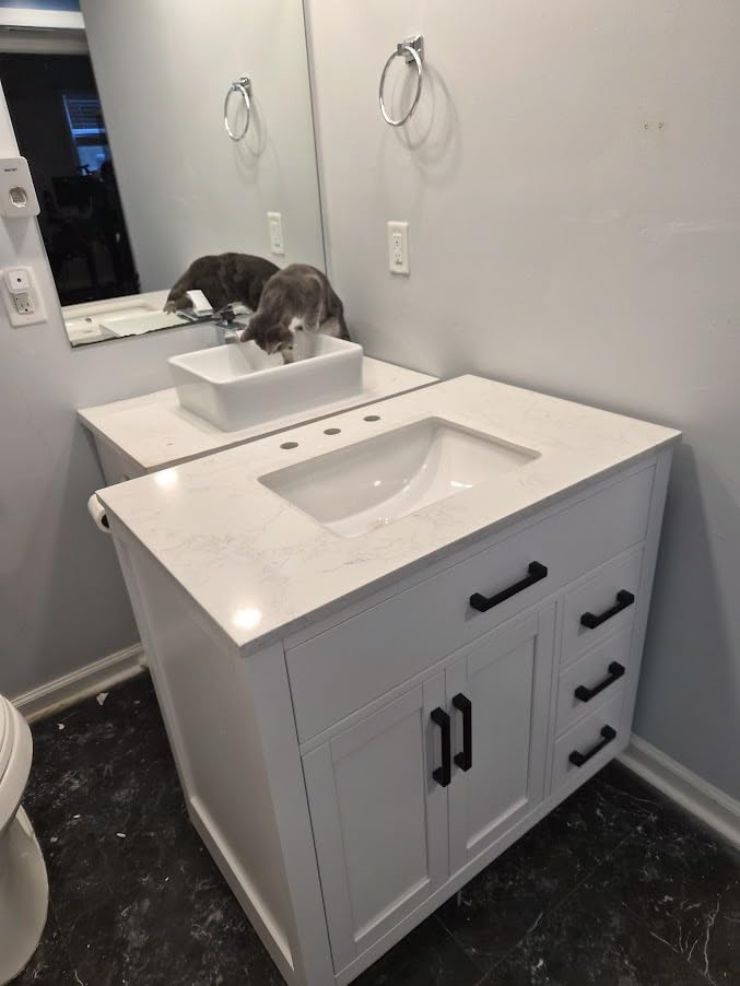 72-inch White Bathroom Vanity with 2 Sinks, Solid Wood, 0.79-inch Stone Countertop and Backsplash, 6 Drawers, 4 Soft Closing Doors customer photo 2
