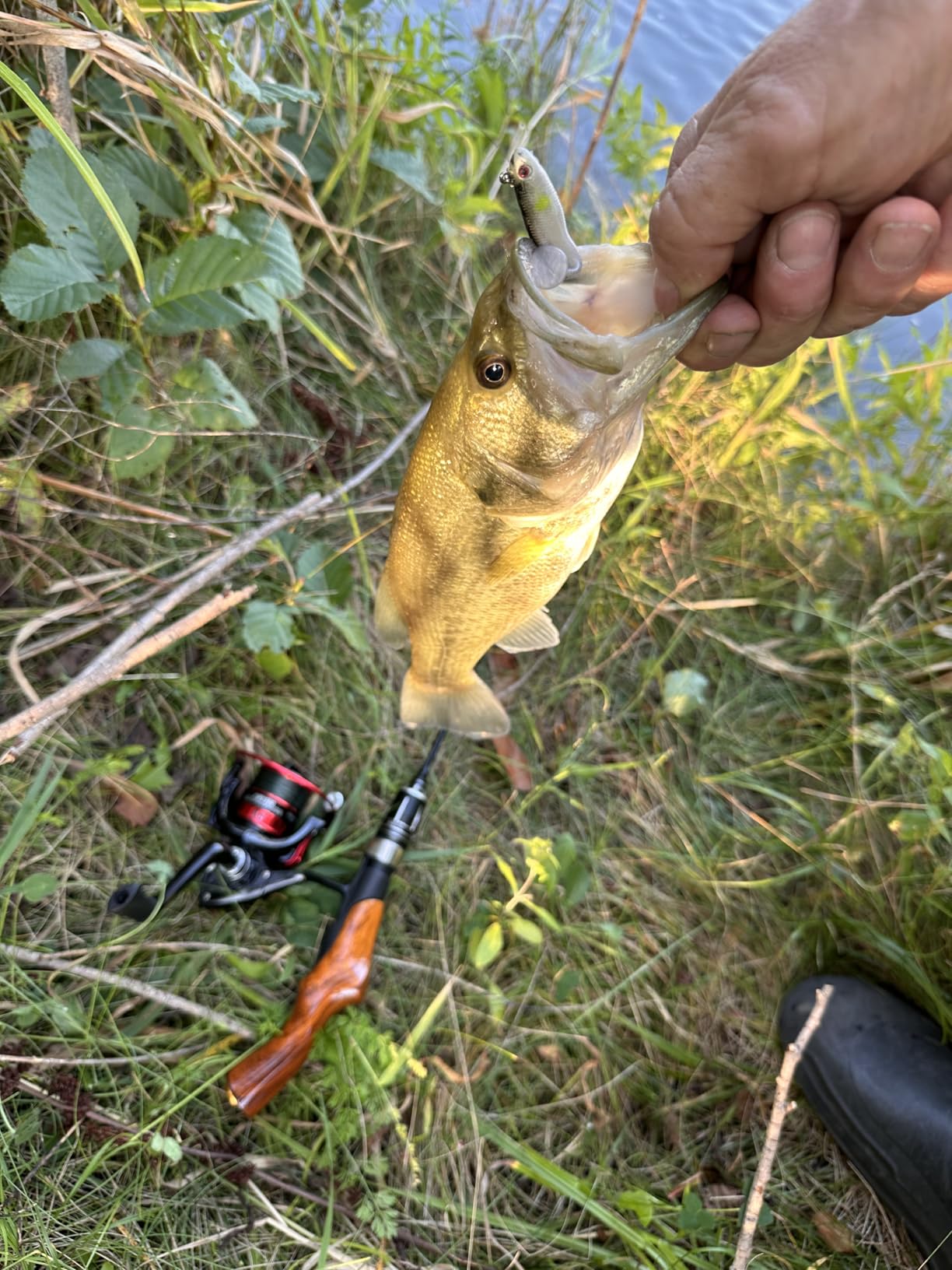 Tuxedo Sailor Ice Fishing Rod and Reel Combos - Reinforced Fiberglass Pole - Spinning Reel - Ultra Light Material Rod - Detachable - Suitable for Outdoor Fishing customer photo 1