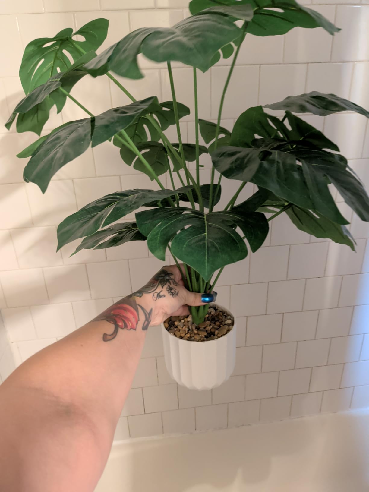 Freyalife 28