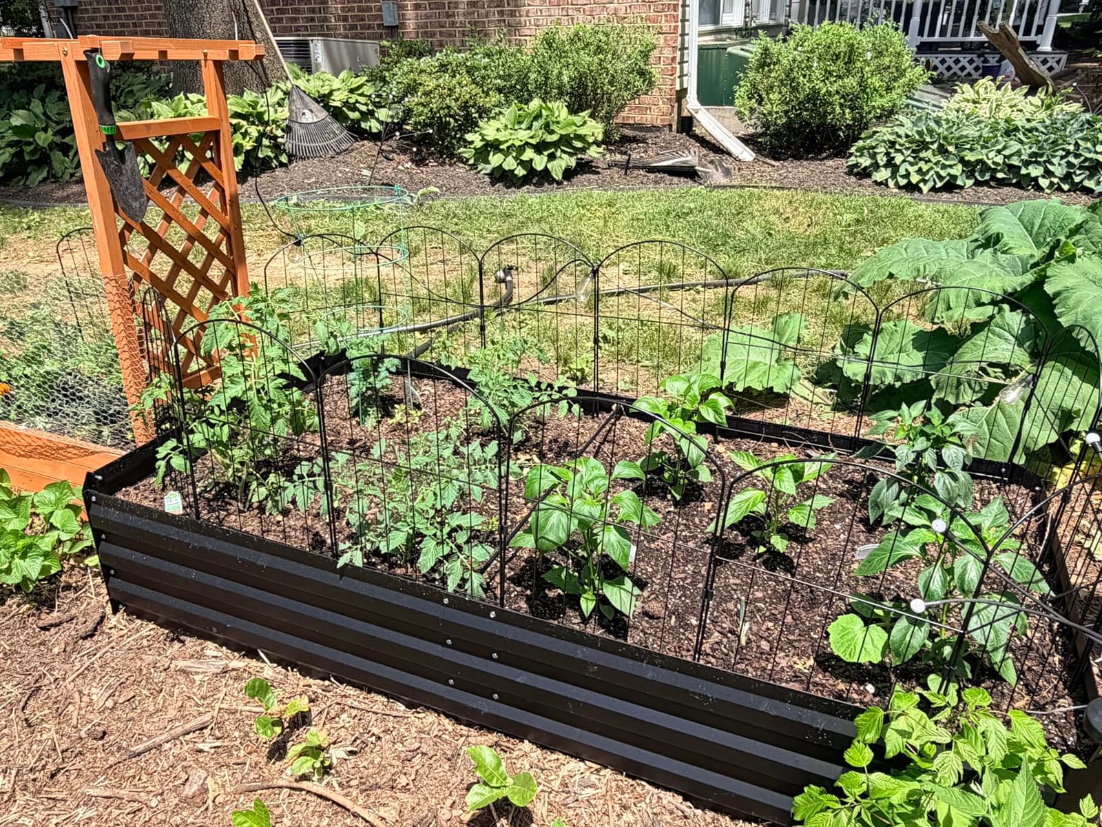 VANCASTLE Decorative Garden Fence Outdoor, 10.5ft (L) x 24in (H), 10 Panels | Rustproof Metal Landscape Barrier Fence, Black Ornamental Fence for Yard, Patio, Lawn, Garden Bed, Easy to Install customer photo 1