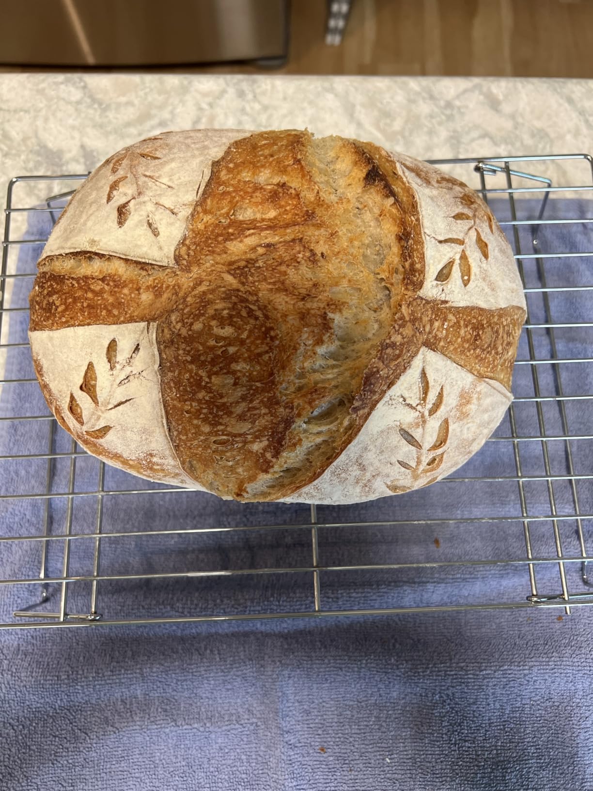 Sourdough Starter Kit with Banneton Bread Proofing Baskets and Jar | Complete Sourdough Bread Baking Supplies, Beginner Friendly, 9in Round Rattan Banneton & 24oz Glass Starter Jar, Sturdy Tools customer photo 2