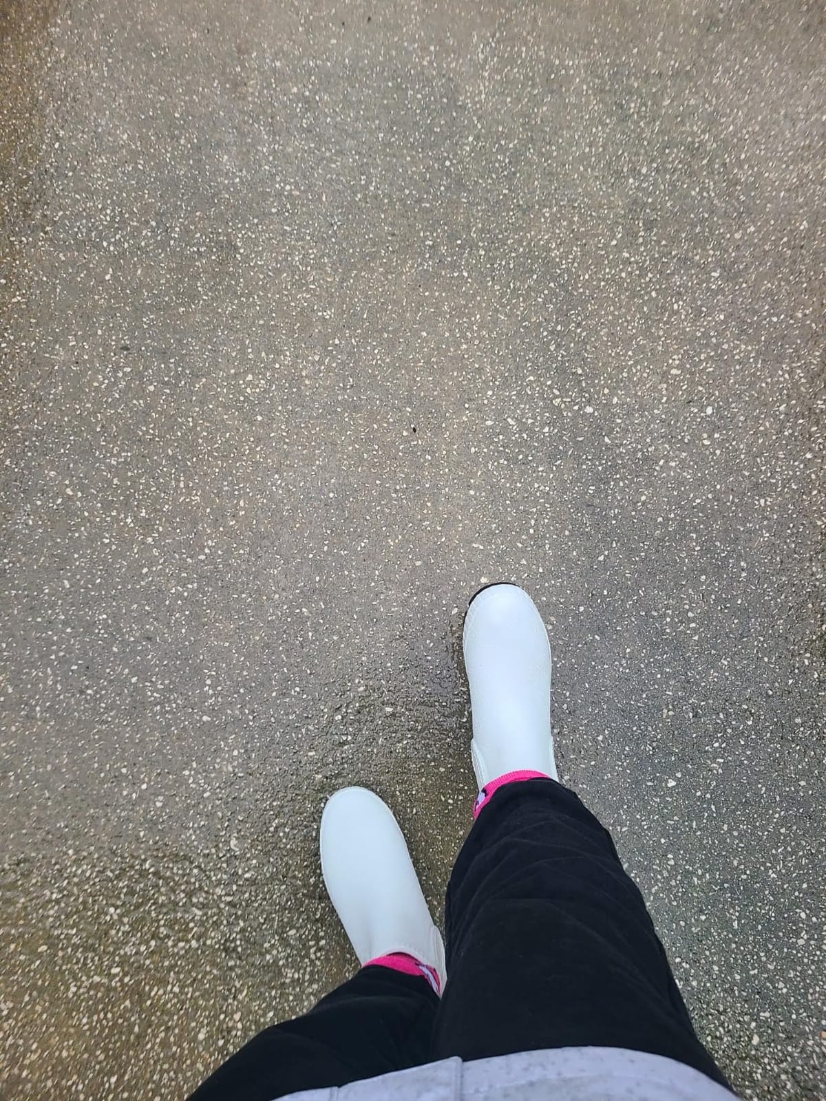 Sperry Women's Torrent Chelsea Rain Boot customer photo 1