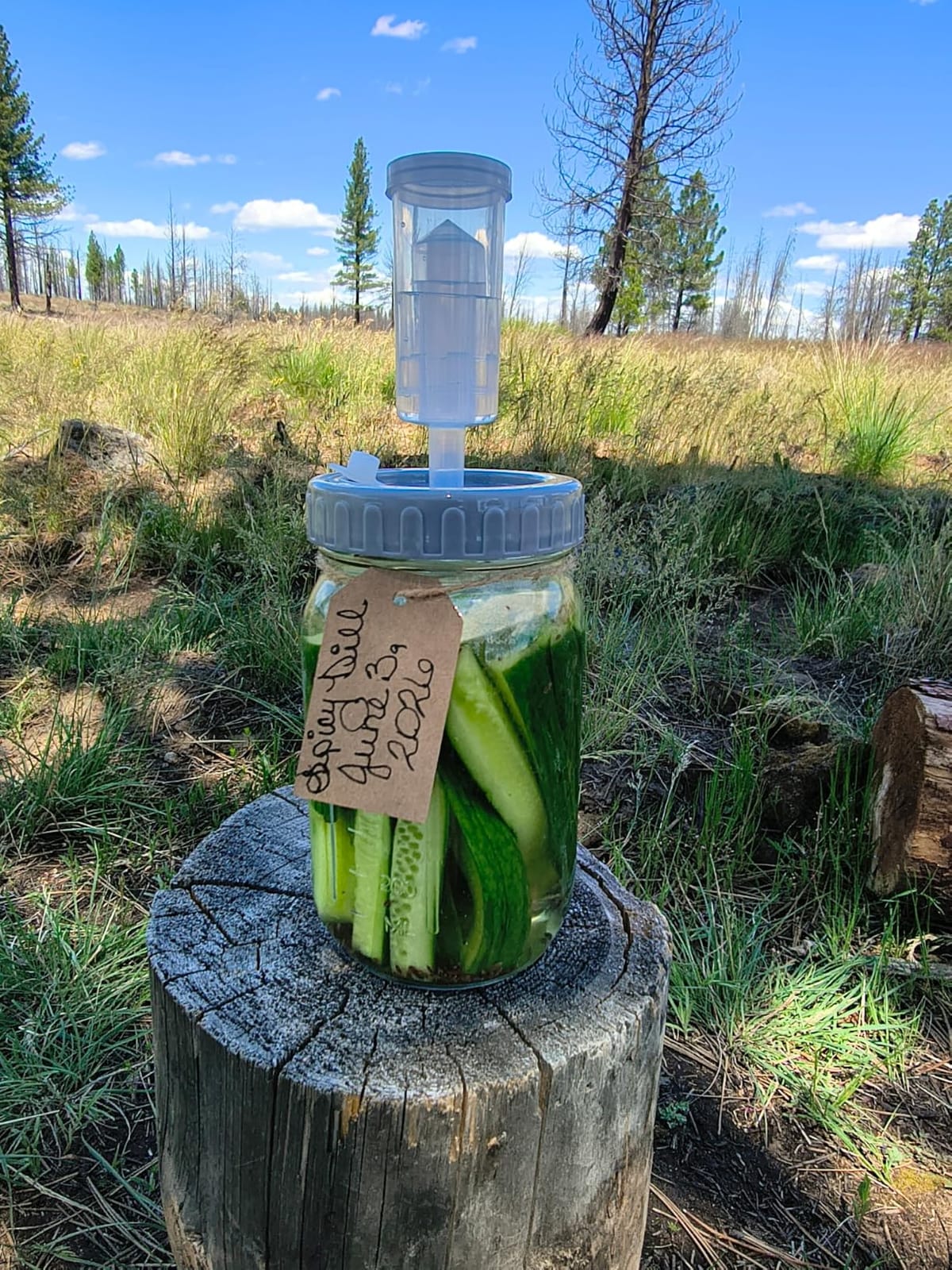 4-Pack Mason Jar Fermentation Kit With Four 32 Oz Jars And Plastic Lids | Complete Kit With Airlocks, Silicone Rings, Grommets, And Glass Weights For Simple Fermenting, Ideal For Beginners. customer photo 1