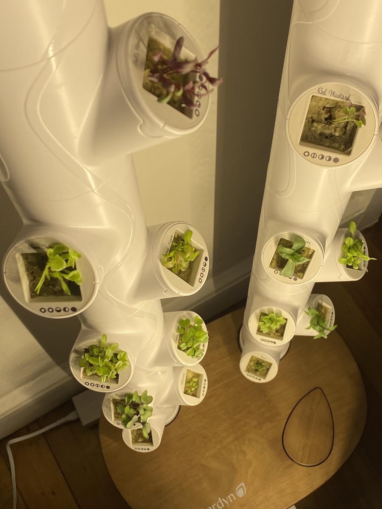 New & Improved! Gardyn Studio 2 Hydroponics Growing System - 16 Non-GMO Plants, Herbs, Vegetables - Smart Tower - Hydroponic Herb Garden Planter Indoor Kit - Indoor Gardening System w/Grow Lights customer photo 1