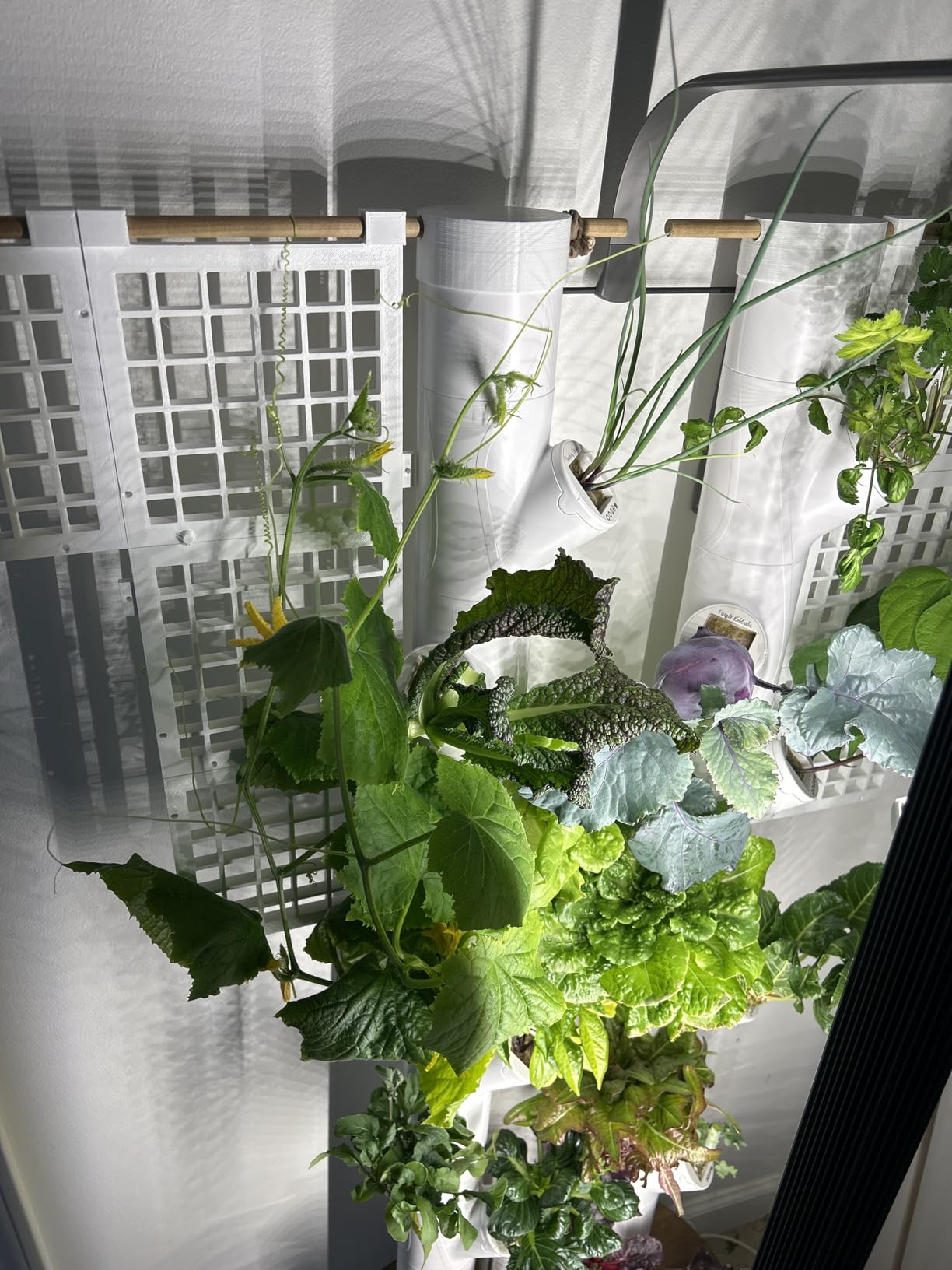 New & Improved! Gardyn Studio 2 Hydroponics Growing System - 16 Non-GMO Plants, Herbs, Vegetables - Smart Tower - Hydroponic Herb Garden Planter Indoor Kit - Indoor Gardening System w/Grow Lights customer photo 2