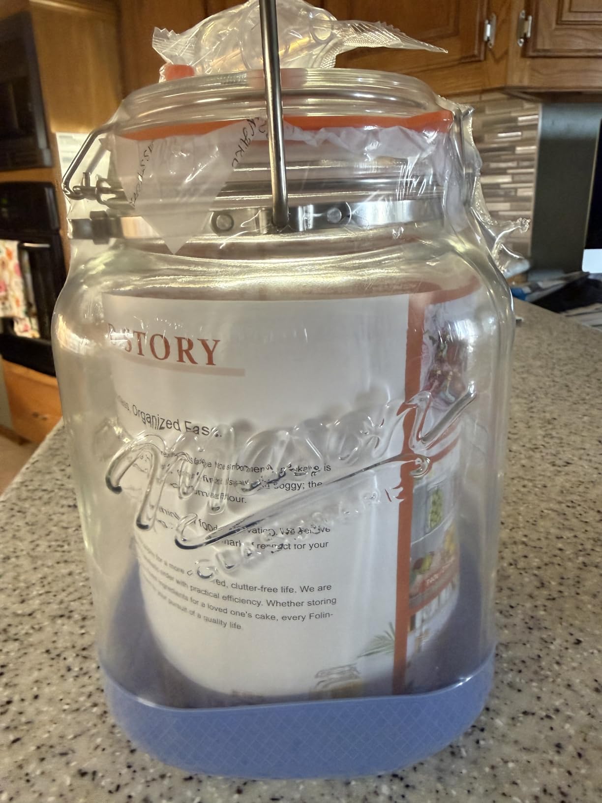 1 Gallon/128 OZ Large Fermentation Jar, Mead Making Kit, Pickle Jars, 2 PCS | 3 Airlock, Stainless Steel Handle, 4.3
