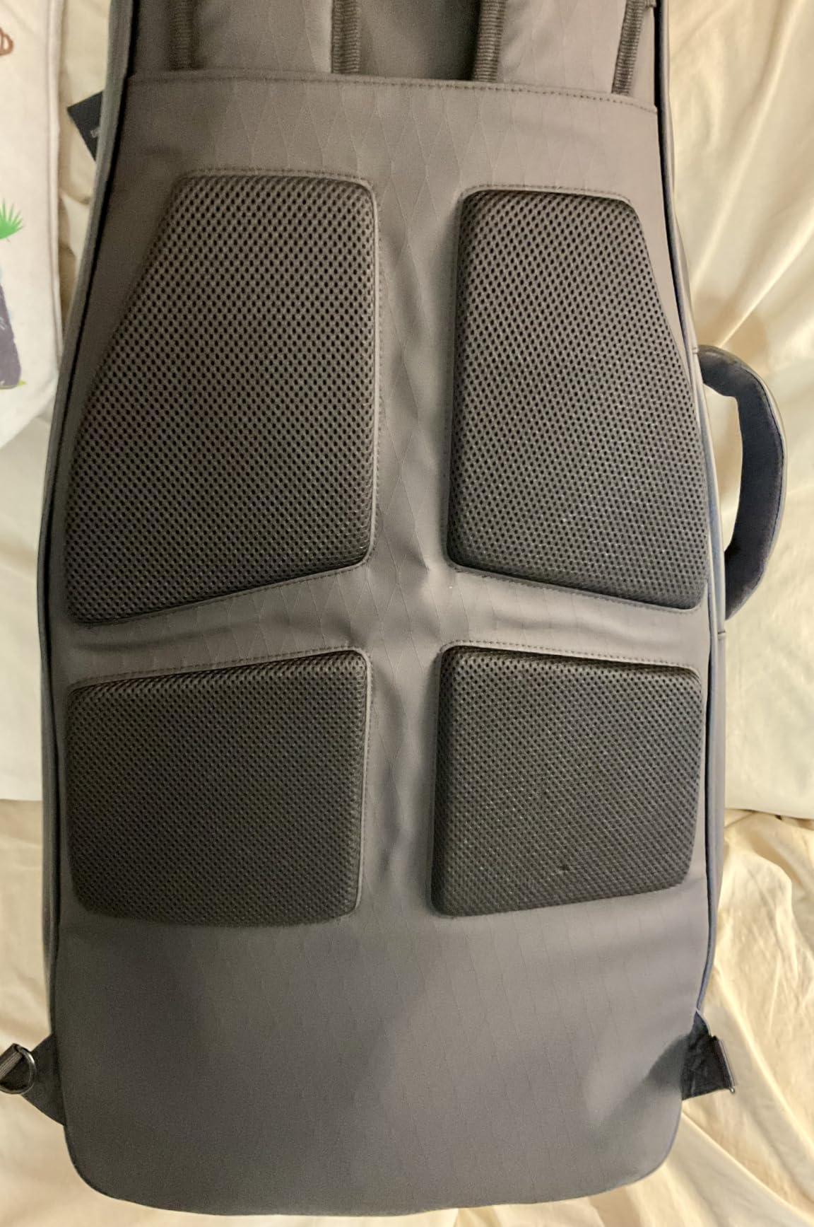 D'Addario Backline Electric Guitar Gig Bag with Climate Control customer photo 2