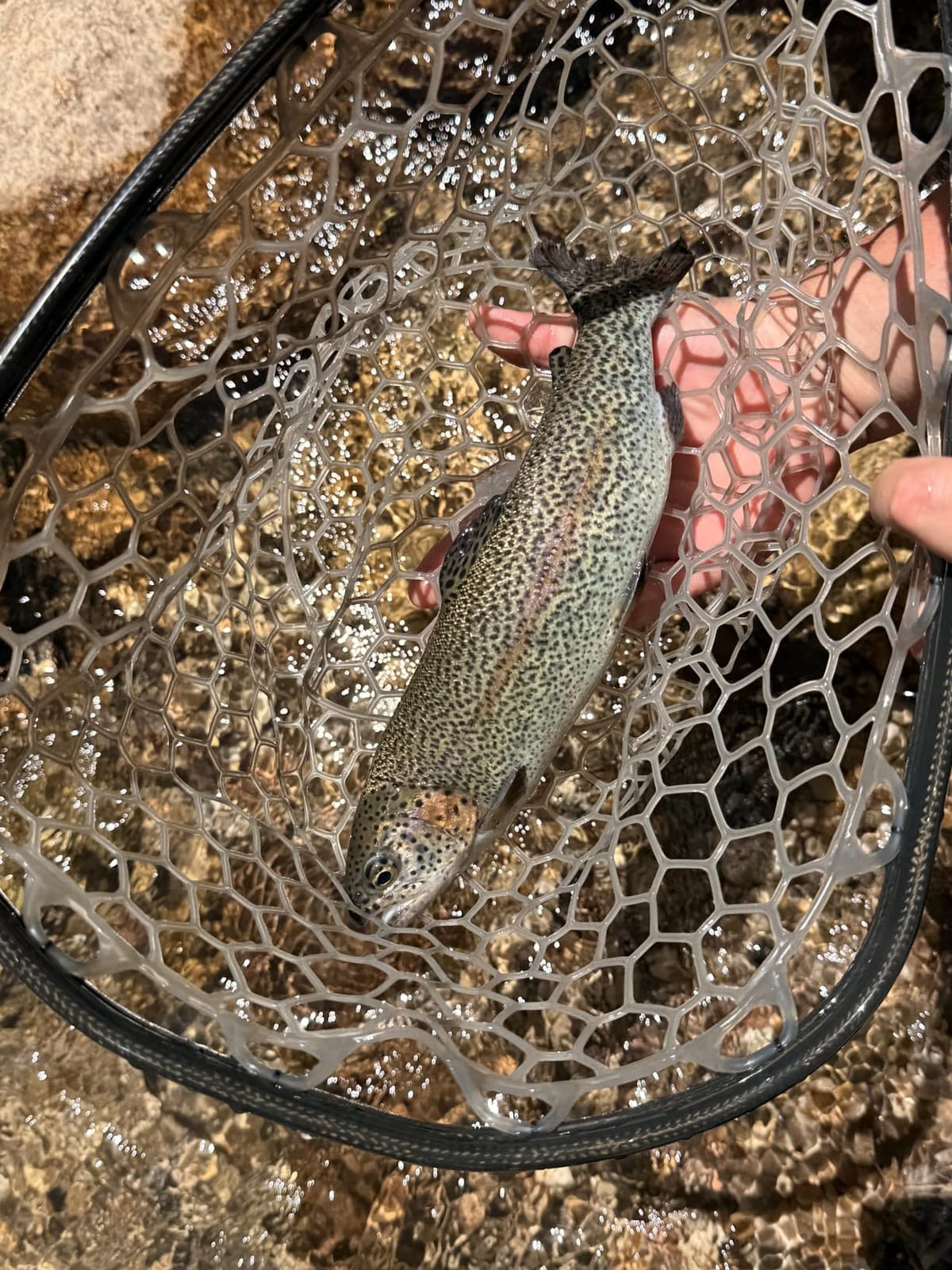 Fishpond Nomad Fly Fishing Net 2.0 customer photo 1