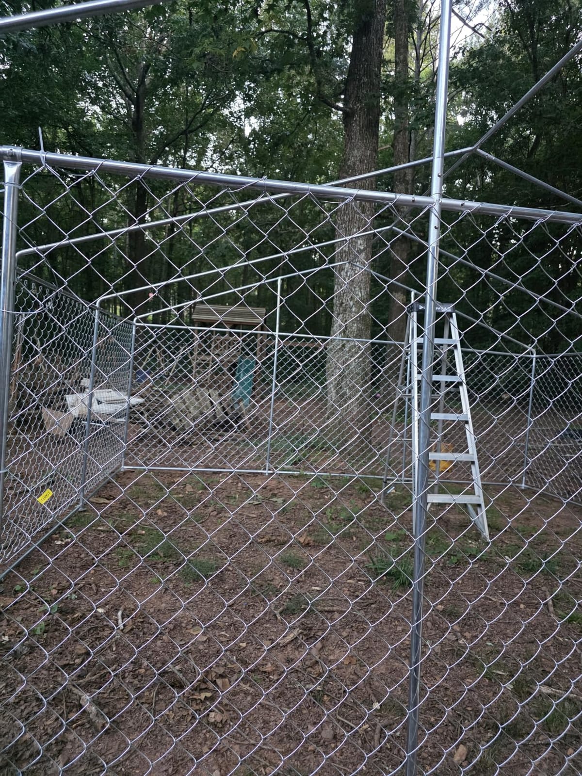YITAHOME 10'x10' Outdoor Dog Enclosure with Metal Dog Gate | Dog Kennel Outside with Roof, Dog Fence Outdoor for Yard customer photo 1