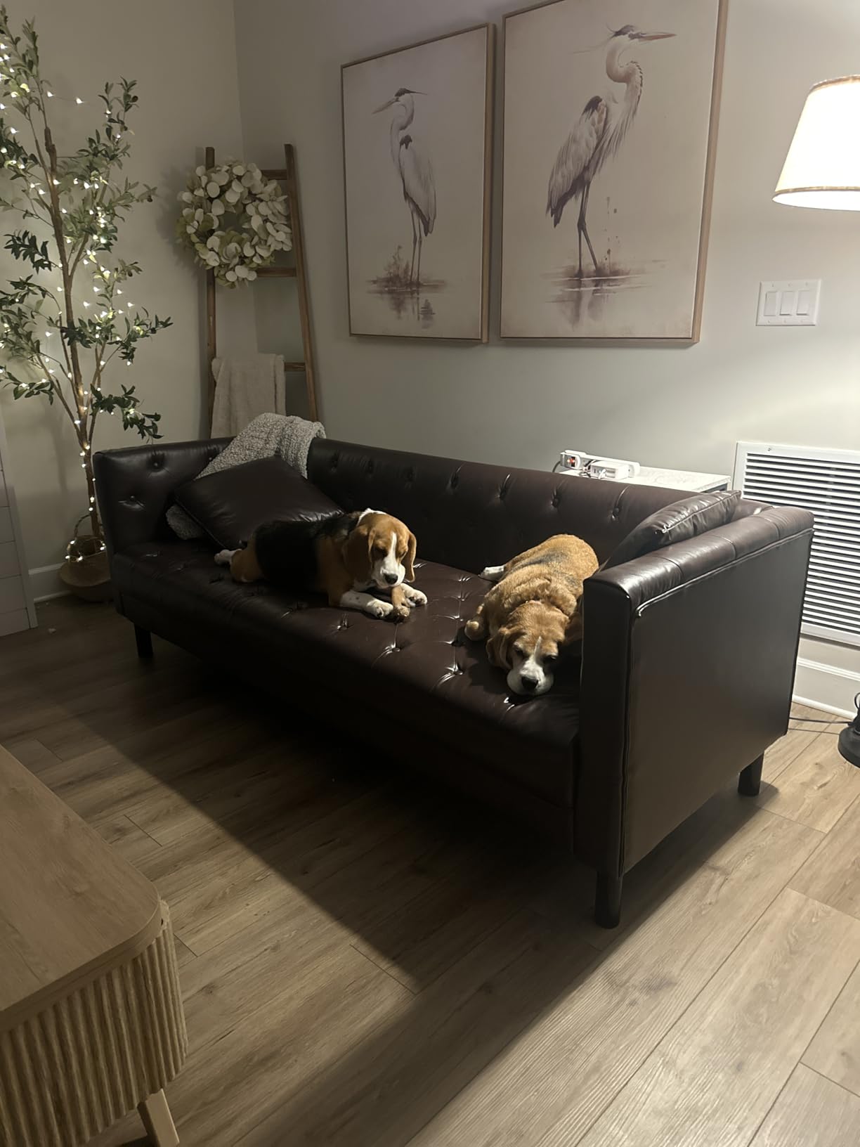 GarveeHome 81