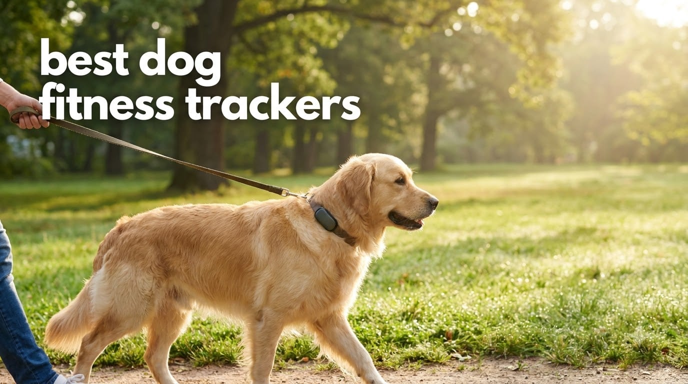 best dog fitness trackers