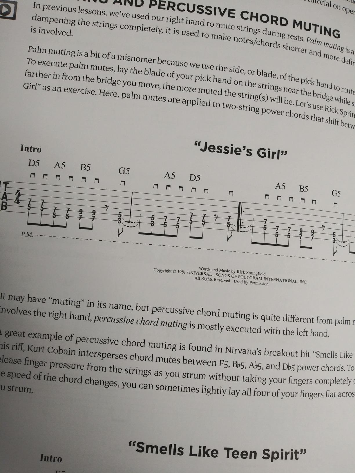 First 15 Lessons - Electric Guitar - Beginner's Guide with Online Audio and Video customer photo 1