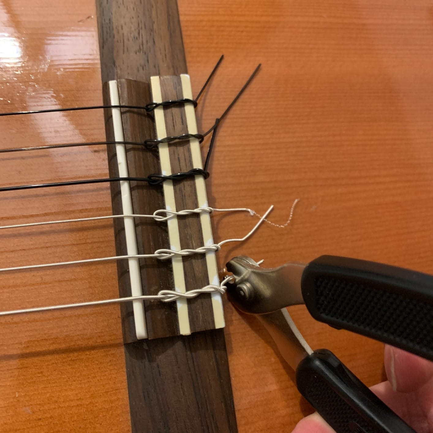 Ernie Ball Ernesto Palla Black & Silver Tie-On Classical Guitar Strings, 28-42 Gauge (P02406) customer photo 1