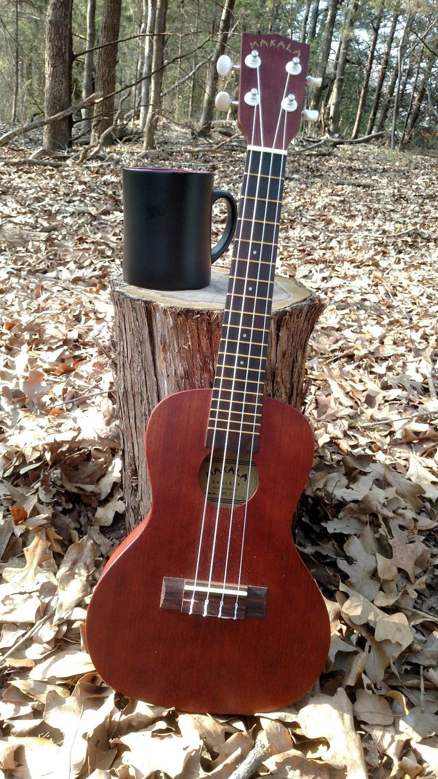 Kala MK-C Makala Concert Ukulele customer photo 1