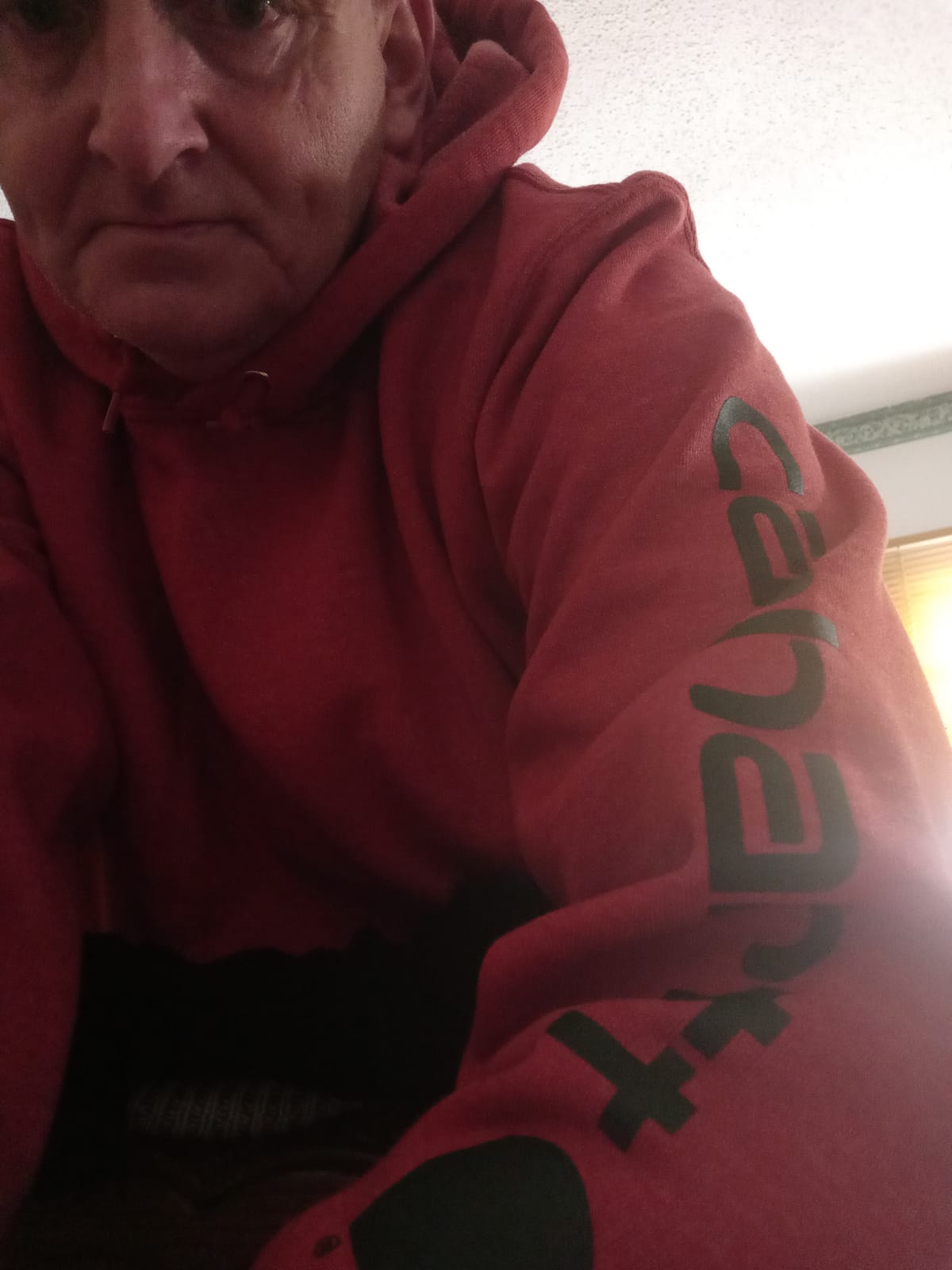 Carhartt Men's Iconic K288 Logo Sweatshirt Closeout customer photo 1