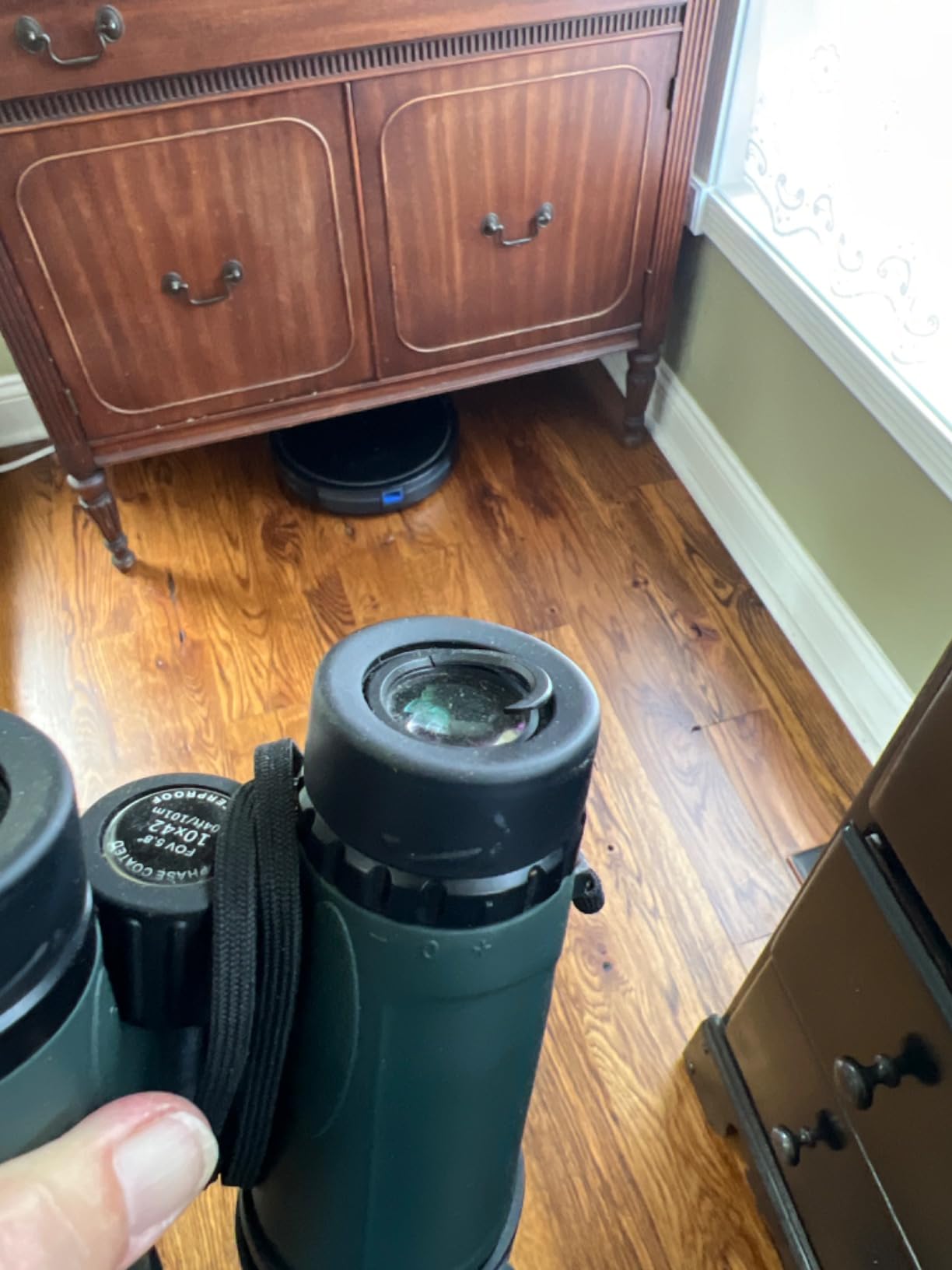 Celestron Nature DX 10x42 Waterproof Binoculars for Birding & Hiking customer photo 1