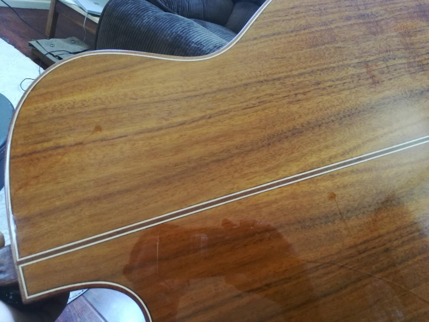 Washburn Comfort Series WCG55CE Acoustic Guitar, Natural customer photo 1