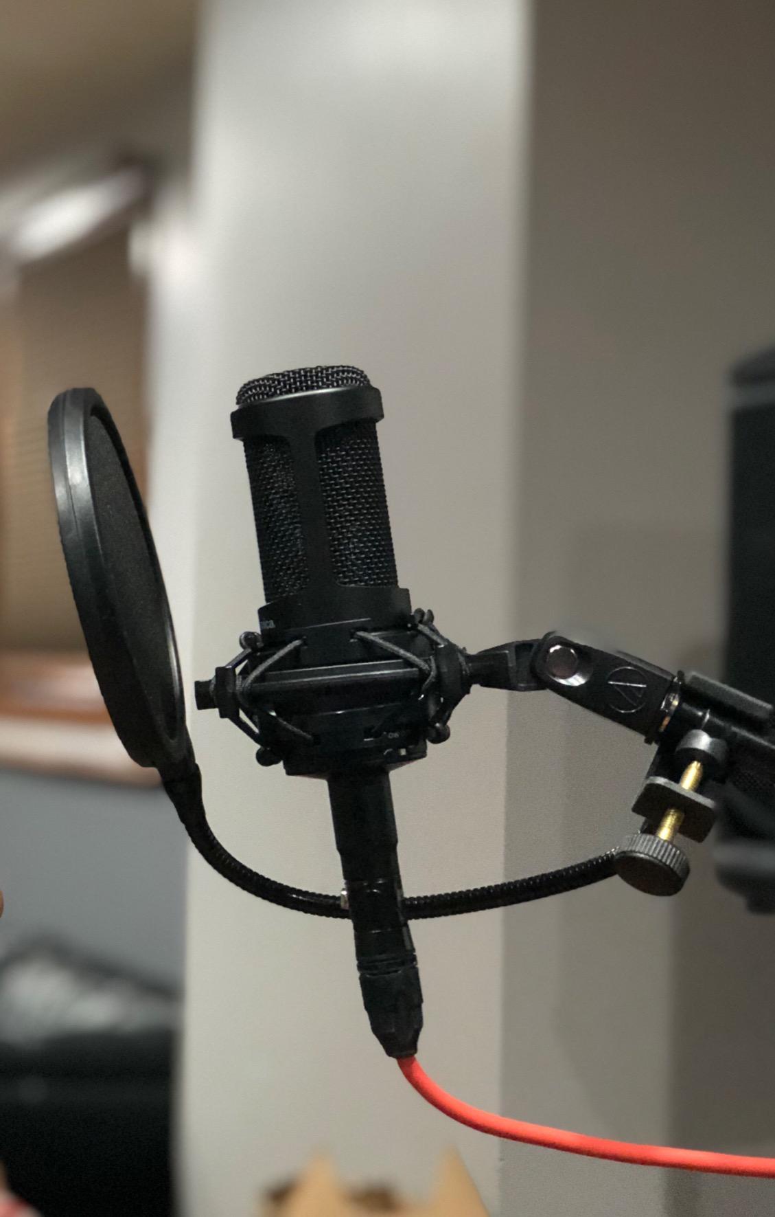 SAMSON PS04 Microphone Pop Filter Restock Deal customer photo 1