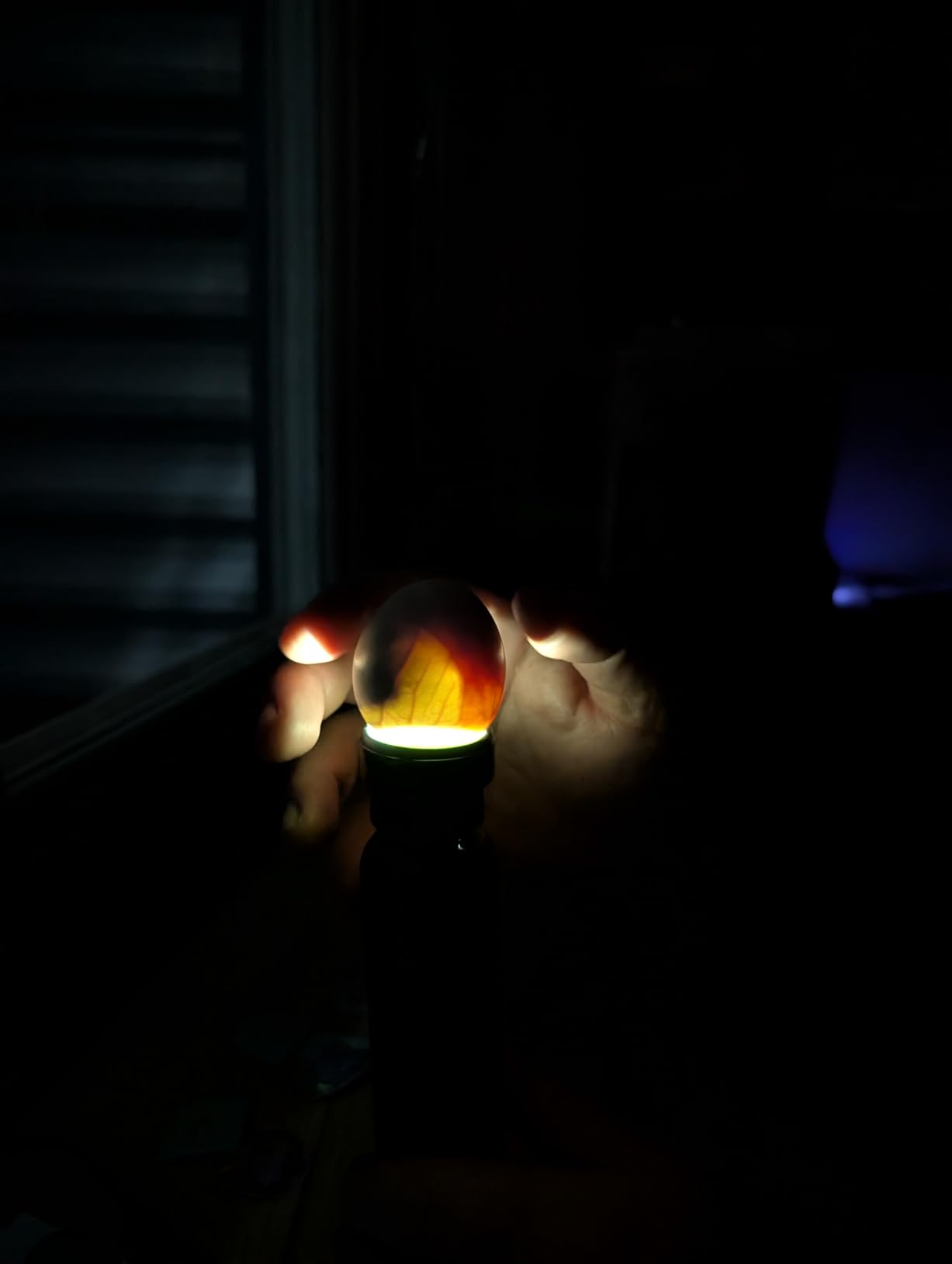 Magicfly Bright Cool LED Light Egg Candler Tester, Powered Only by Power Supply customer photo 1