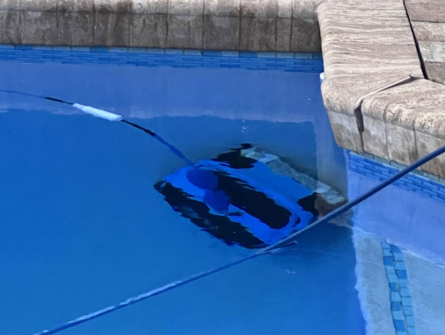 Dolphin Automatic Robotic Pool Vacuum Cleaner, Wall Climbing Scrubber Brush, Smart Navigation, Ideal for In-Ground Pools up to 40FT in Length - Nautilus CC Plus customer photo 1