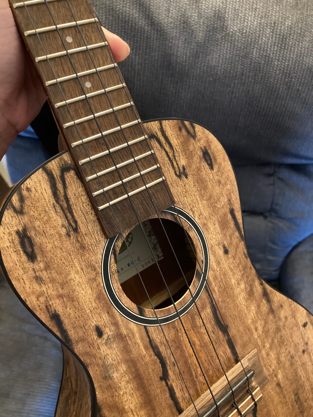 Aquila AQL-CR 112U LAVA Series Ukulele String Set for Concerts customer photo 2