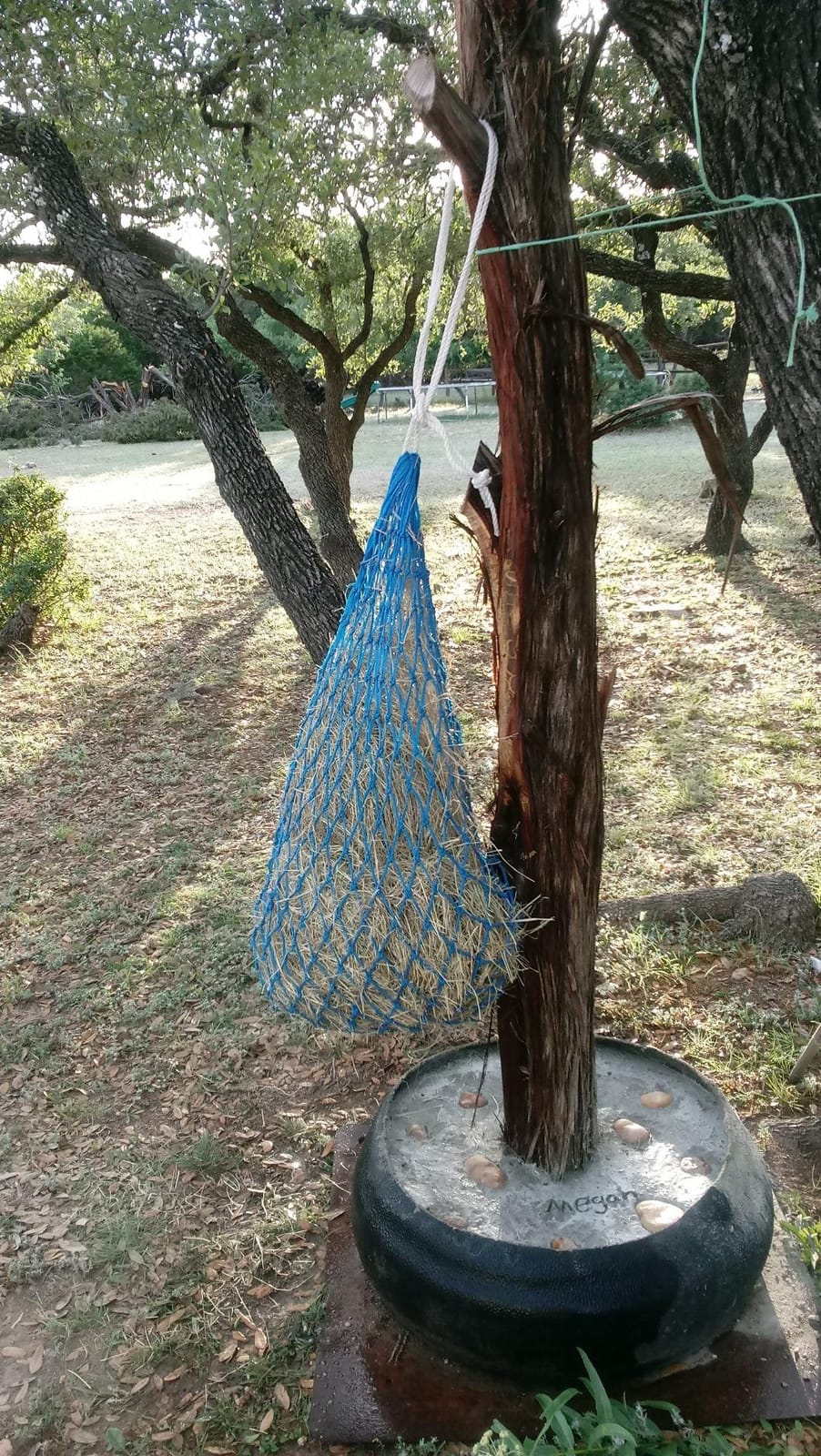 Weaver Equine Slow Feed Hay Net, 36” Small Hole Synthetic Rope Horse Hay Feeder for Slower Feeding, Ideal Horse Hay Net for Horse or Goat Shows customer photo 2