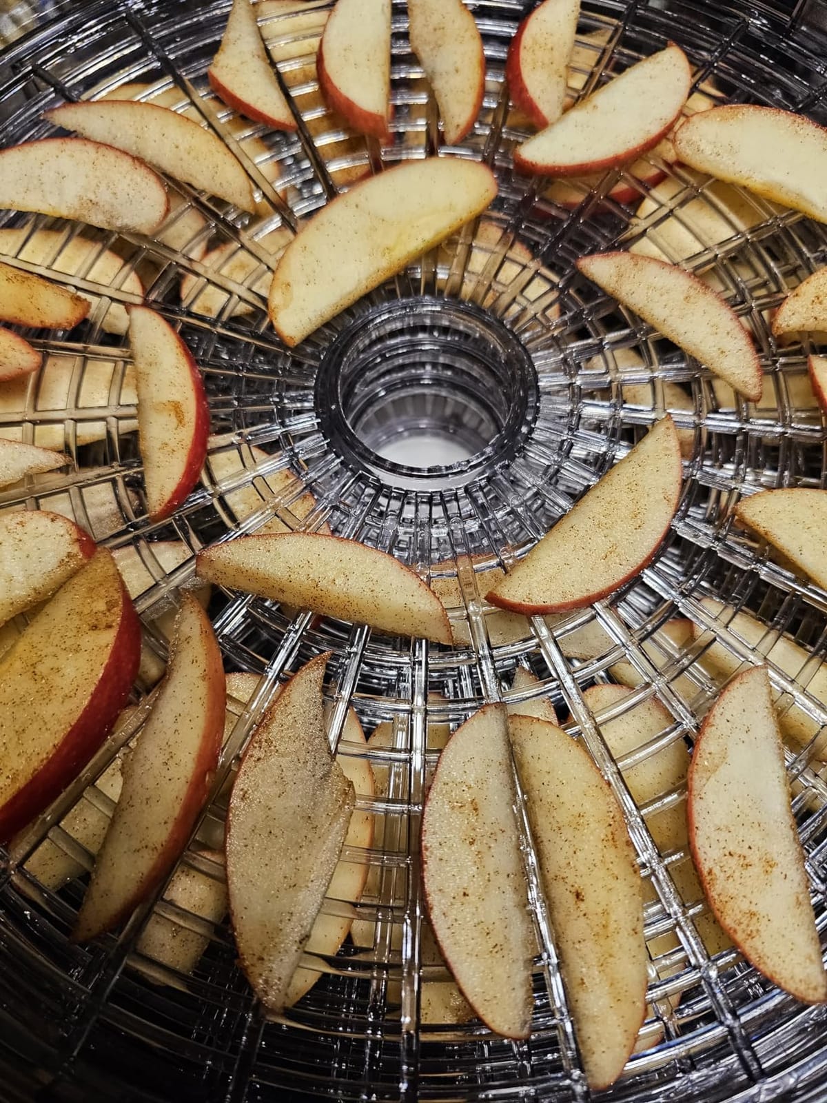 Nutrichef Food Dehydrator Machine | Dehydrates Beef Jerky, Meat, Food, Fruit, Vegetables & Dog Treats | Great For At Home Use | High-Heat Circulation for Even Dehydration | 5 Easy to Clean Trays customer photo 1