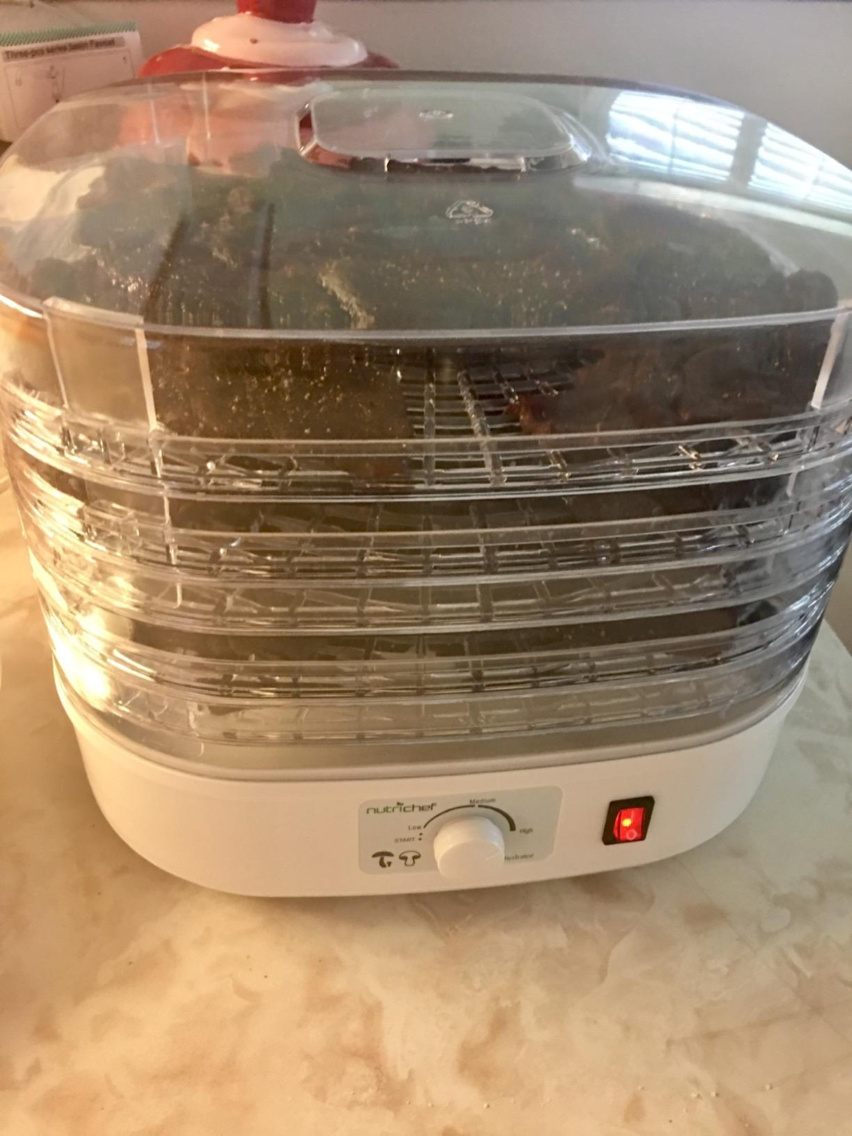 Nutrichef Food Dehydrator Machine | Dehydrates Beef Jerky, Meat, Food, Fruit, Vegetables & Dog Treats | Great For At Home Use | High-Heat Circulation for Even Dehydration | 5 Easy to Clean Trays customer photo 2