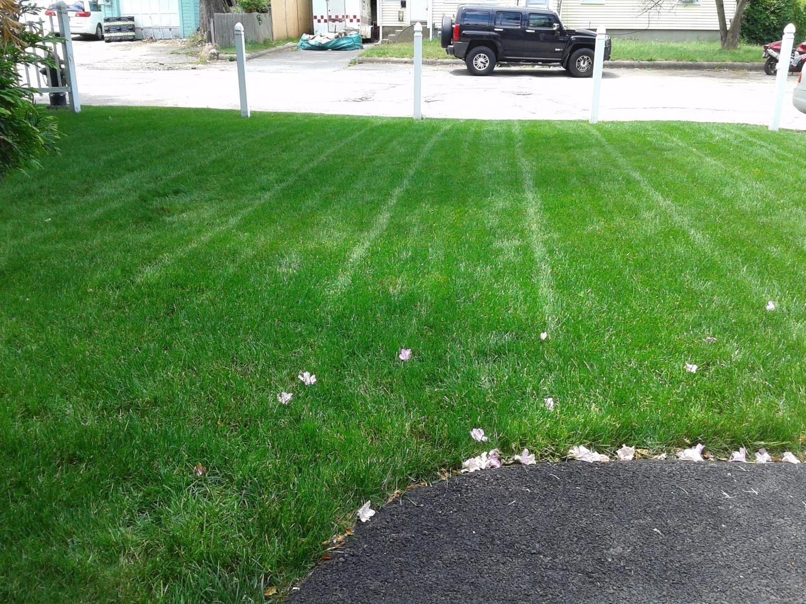 Soil Test Kit | Understand What Your Lawn or Garden Soil Needs, Not Sure What Fertilizer to Apply | Analysis Provides Complete Nutrient Analysis & Fertilizer Recommendation On Report customer photo 1