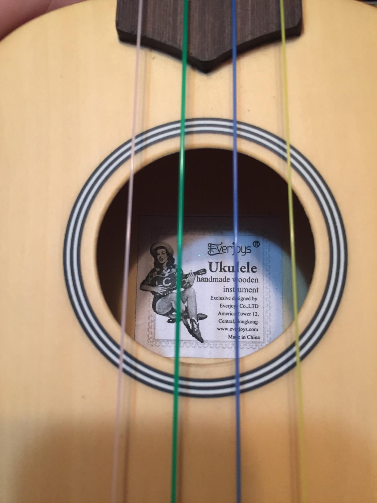 Everjoys Soprano Ukulele Beginner Kit 21 Inch w/Free Online Lesson Gig Bag Tuner Picks Strap, Fast to Learn (Honey) customer photo 1