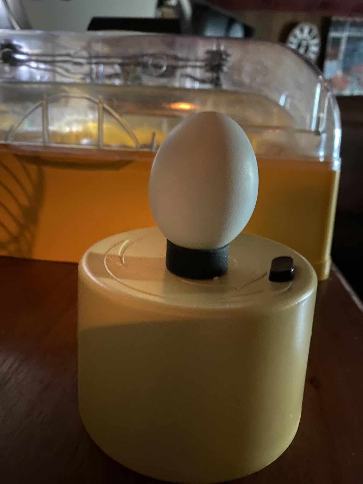 Titan Incubators High Intensity LED Chicken Egg Candler/Tester – Battery Powered customer photo 1