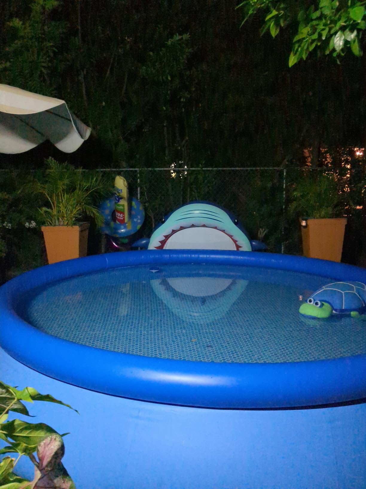 INTEX Easy Set 15 ft x 48in Inflatable Ring Above Ground Pool Set w/Pump customer photo 1
