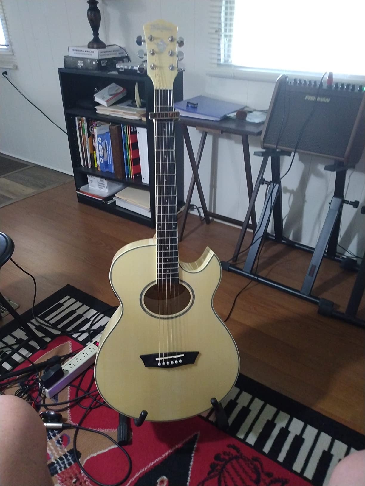 Washburn Festival EA20 Acoustic Electric Guitar (EA20-A) customer photo 1