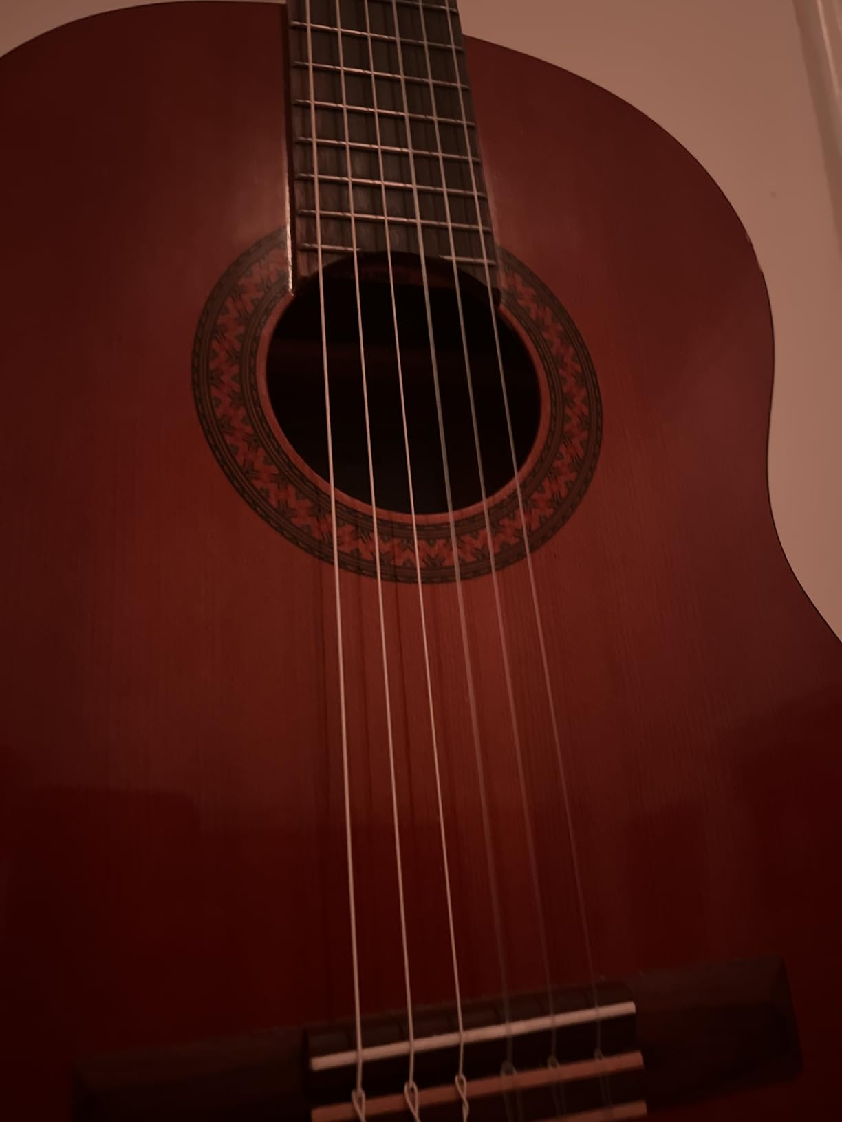 D'Addario Student Nylon Classical Strings EJ27N-3D, Normal, Full customer photo 1