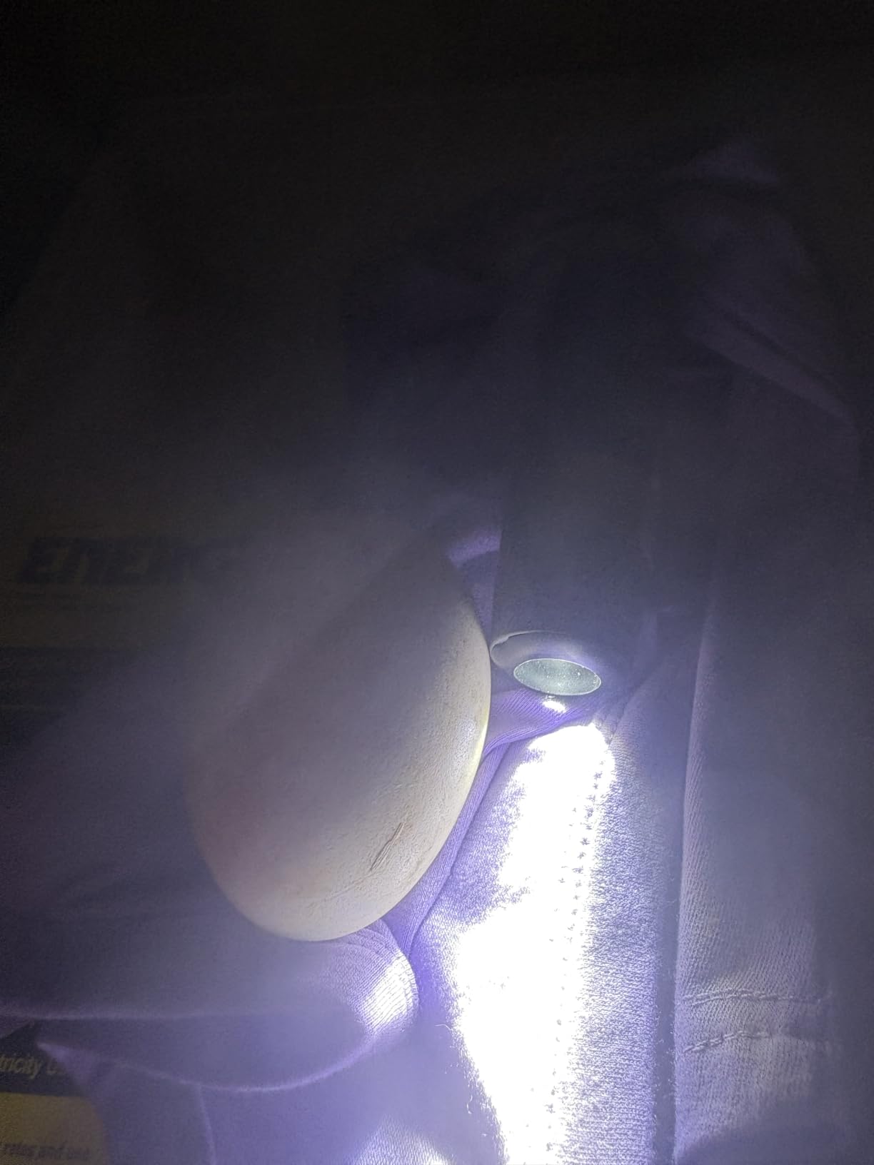 Incu-Bright™ Ultra Bright LED Egg Candler - Portable Light for All Egg Size customer photo 1