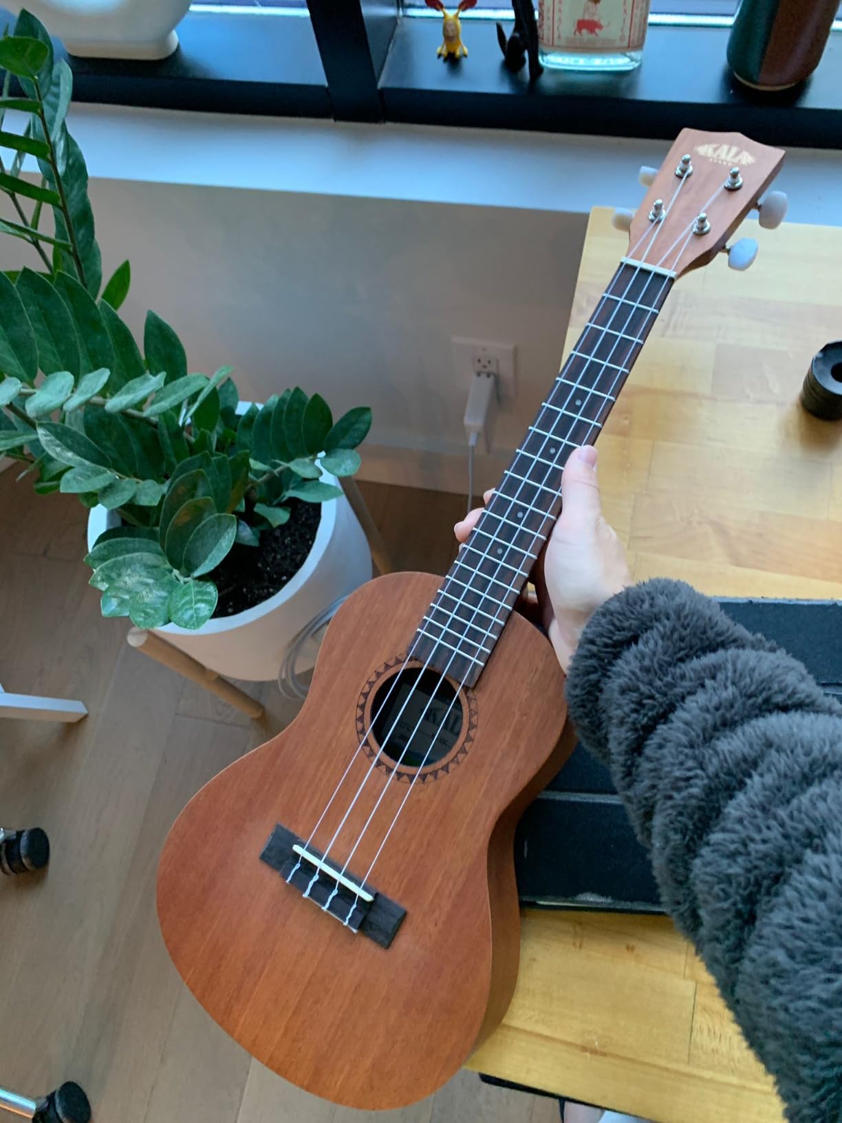 Kala KA-15 Series Satin Mahogany Concert Ukulele, Rosewood Fingerboard, 4 Aquila Super Nylgut Strings, All Ages and Skill Levels, 24 Inches customer photo 1